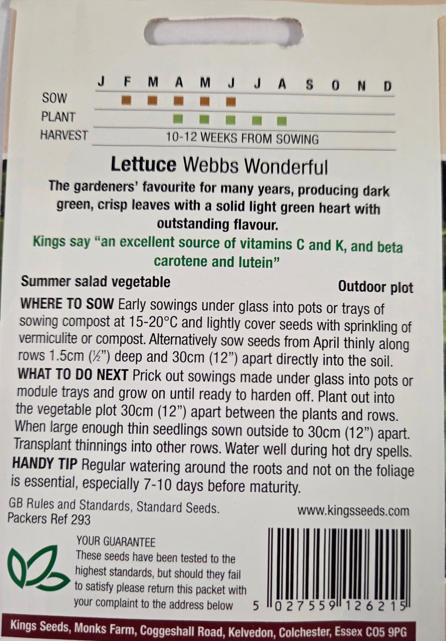 Kings Seeds Lettuce Webbs Wonderful