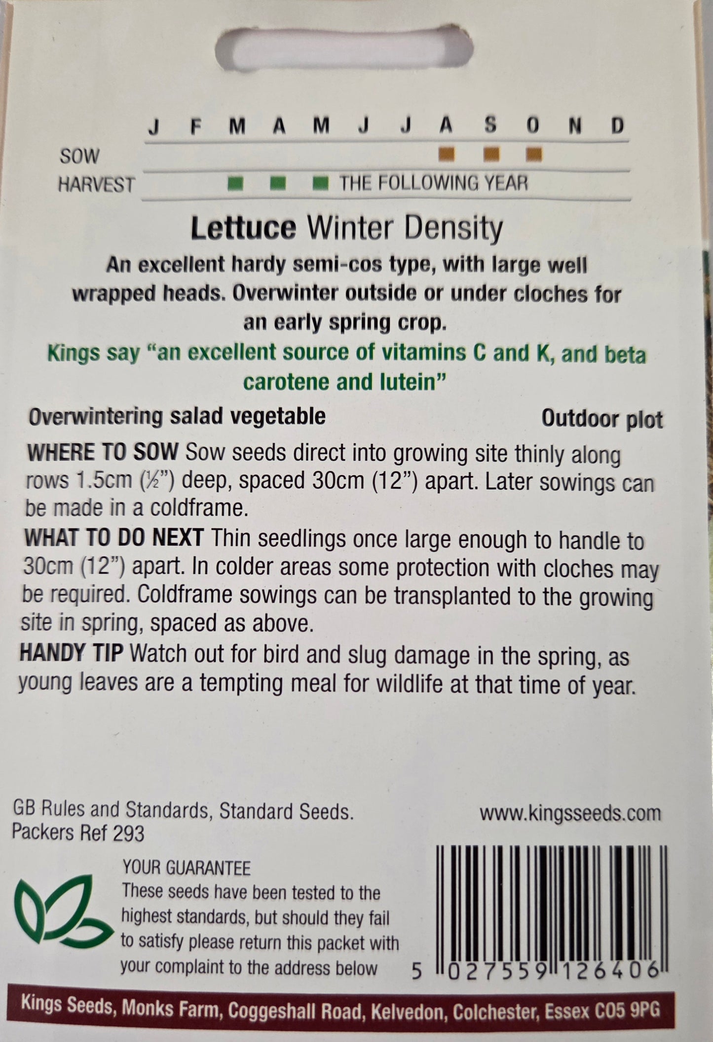 Kings Seeds Lettuce Winter Density
