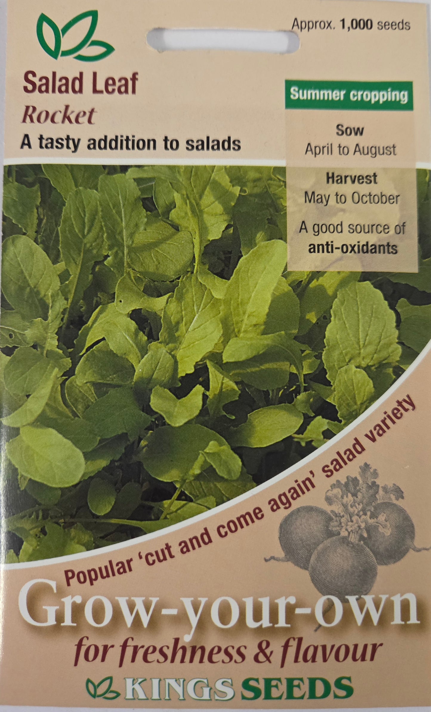 Kings Seeds Lettuce Salad Leaf Rocket