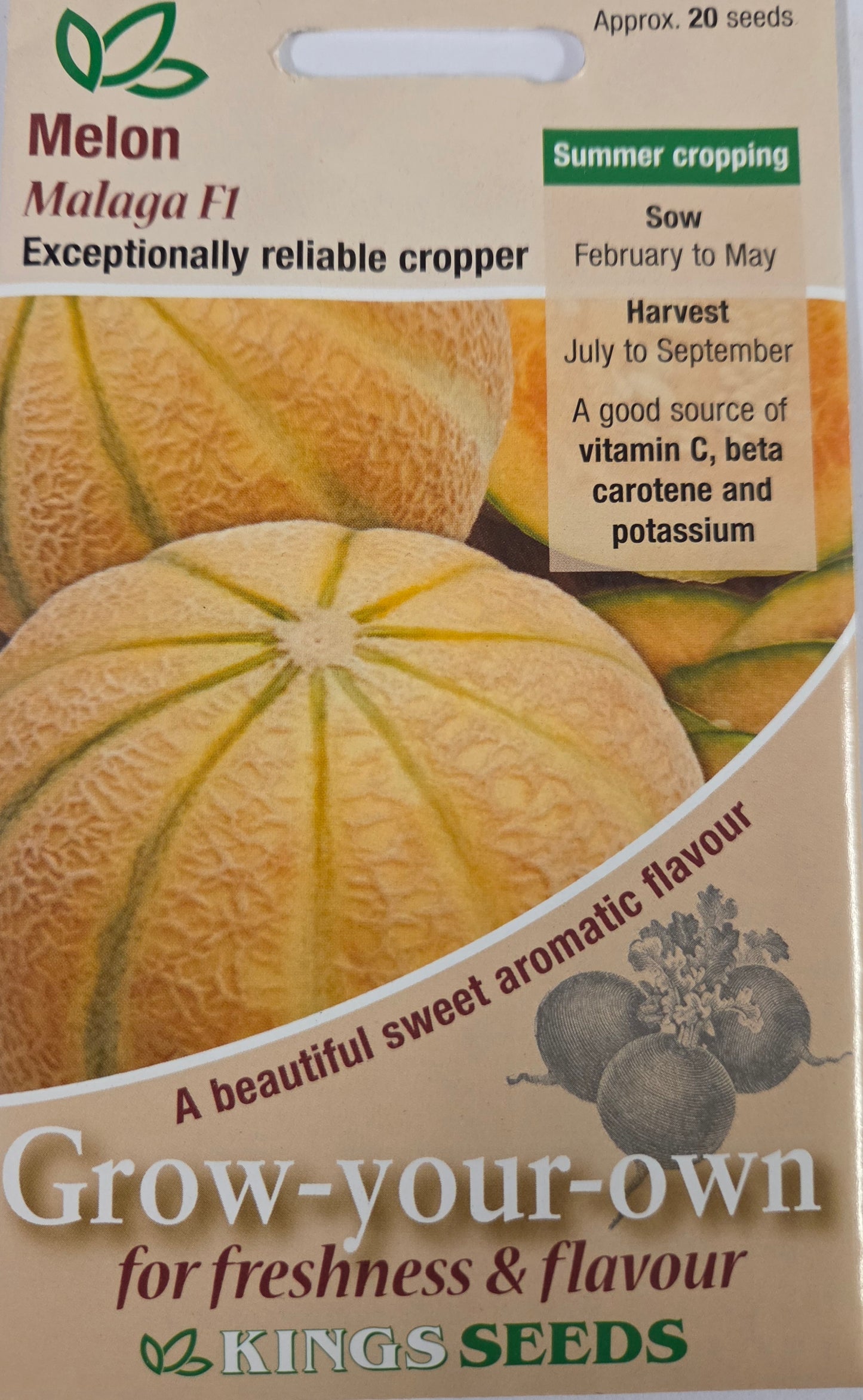 Kings Seeds Melon Malaga F1