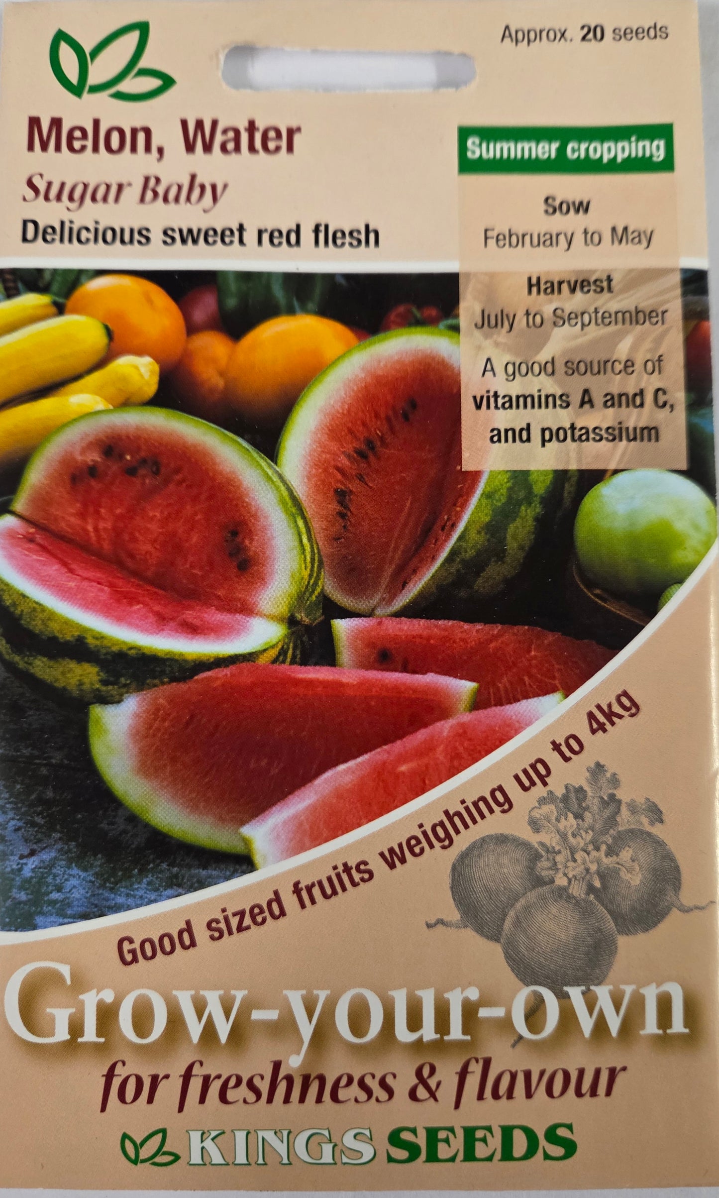 Kings Seeds Melon Sugar Baby (Water)