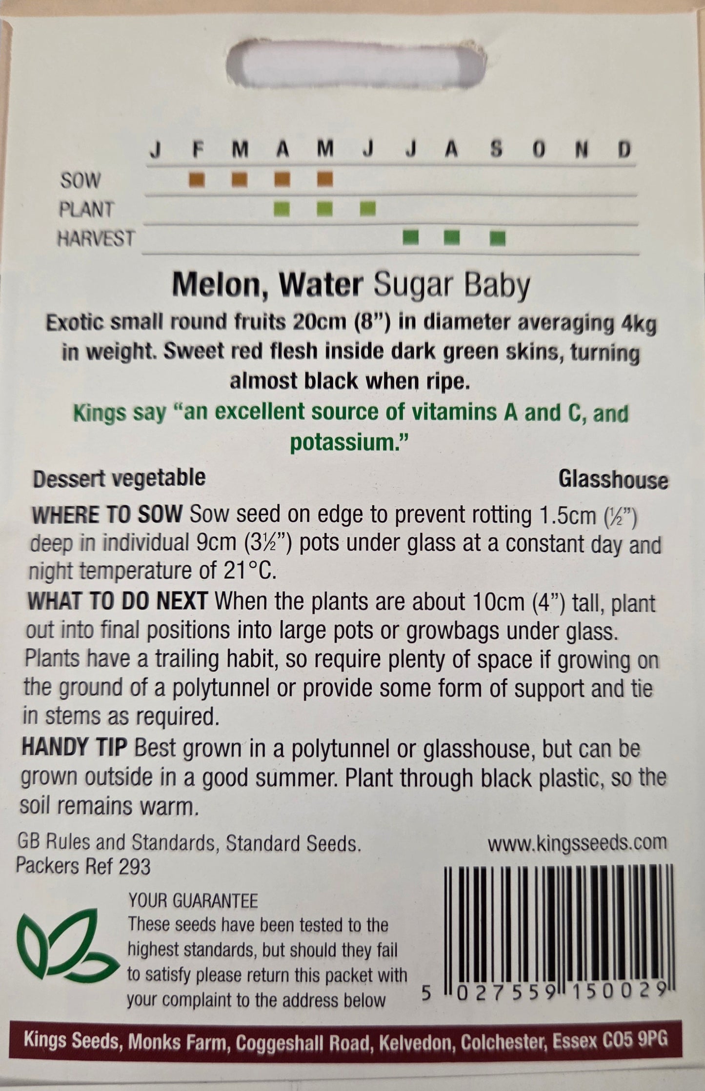 Kings Seeds Melon Sugar Baby (Water)