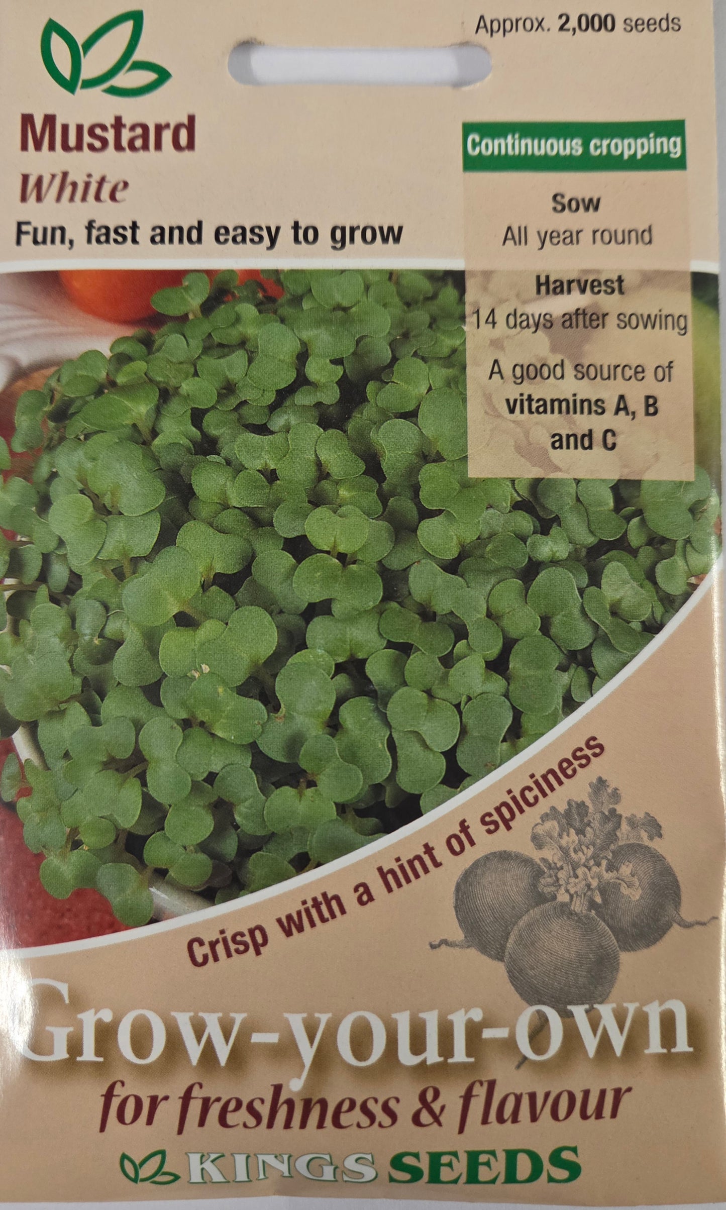 Kings Seeds Mustard White