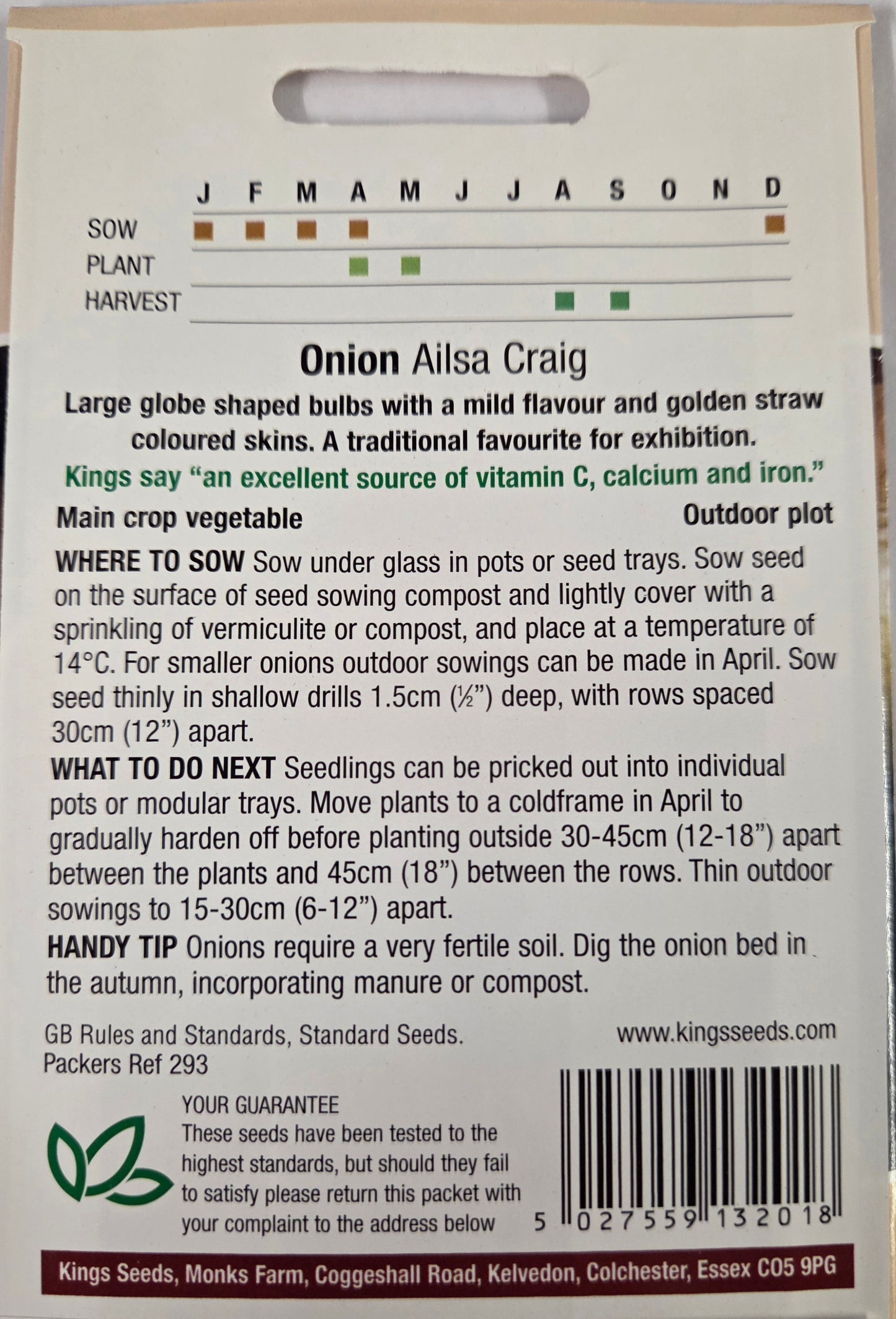Kings Seeds Onion Ailsa Craig