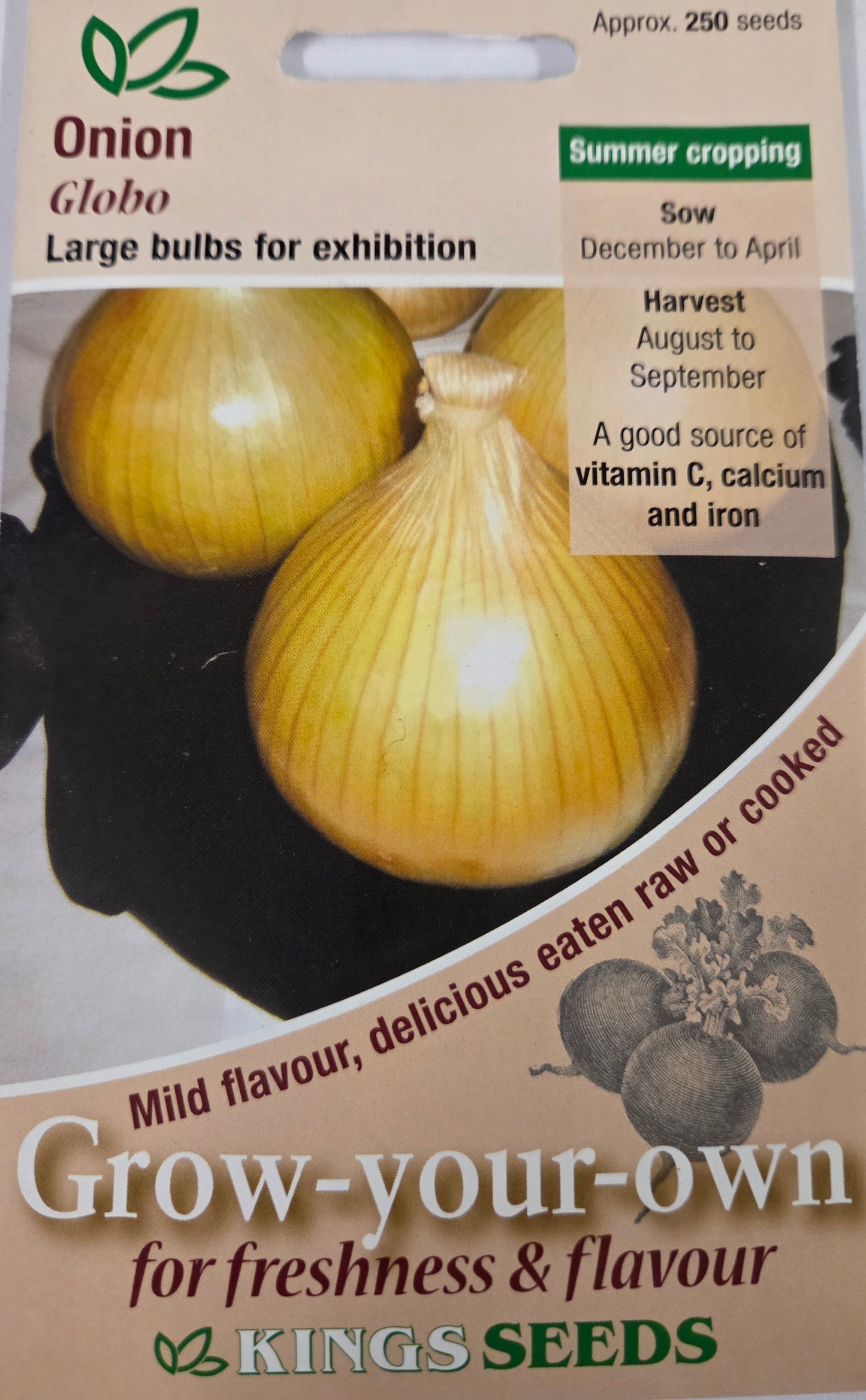 Kings Seeds Onion Globo