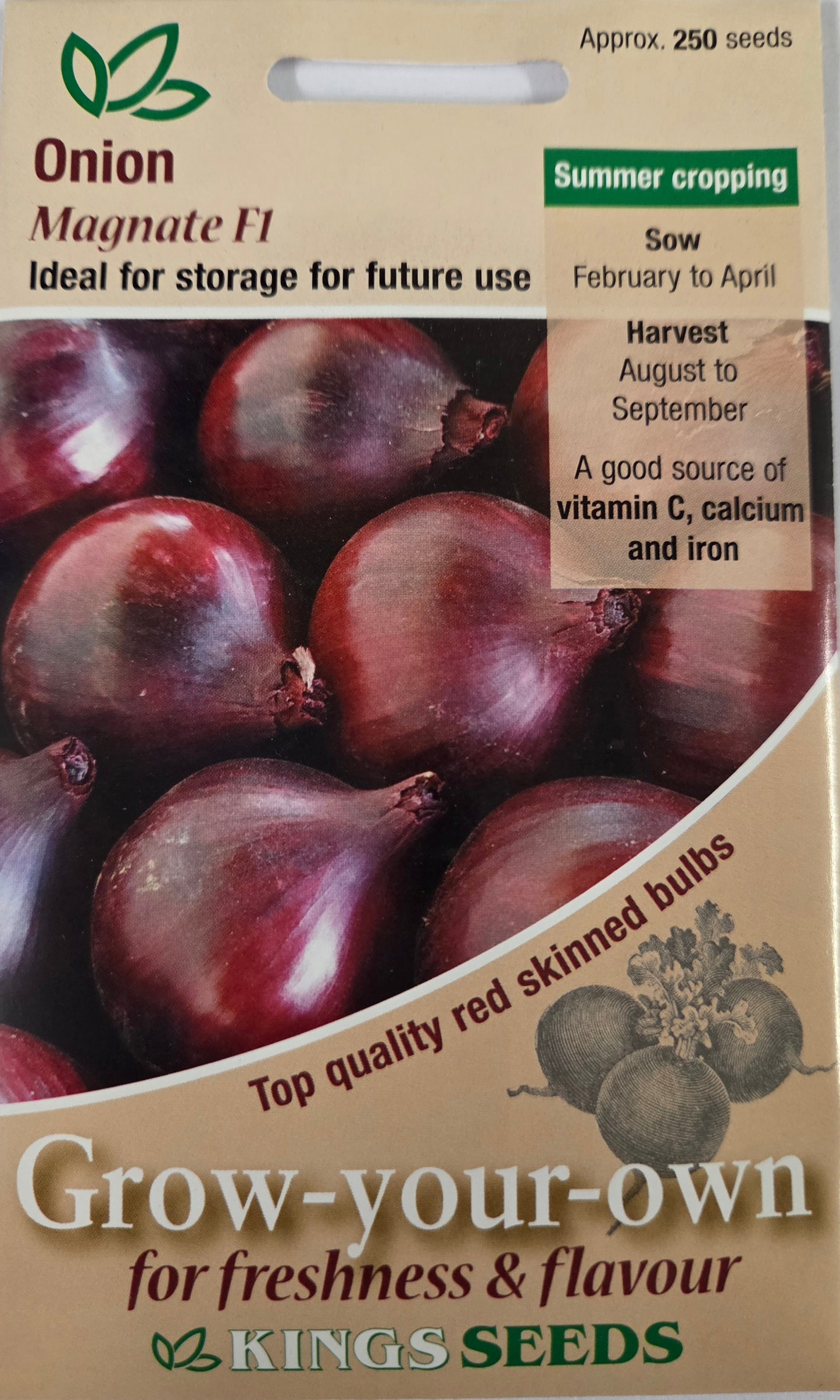Kings Seeds Onion Magnate F1