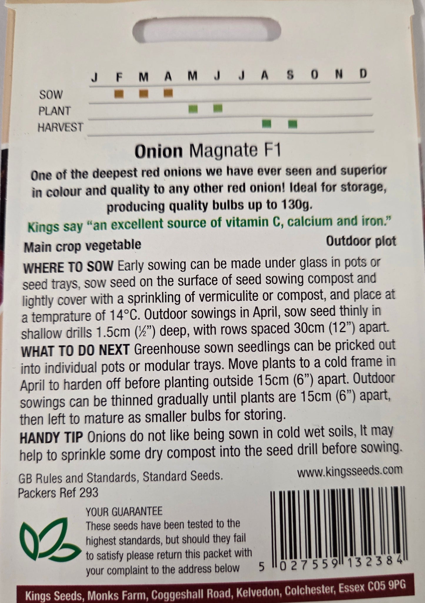 Kings Seeds Onion Magnate F1