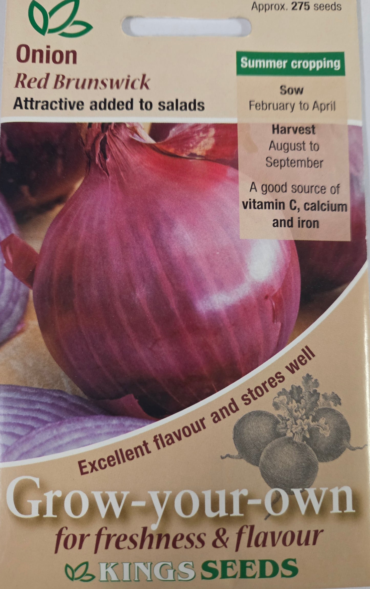 Kings Seeds Onion Red Brunswick
