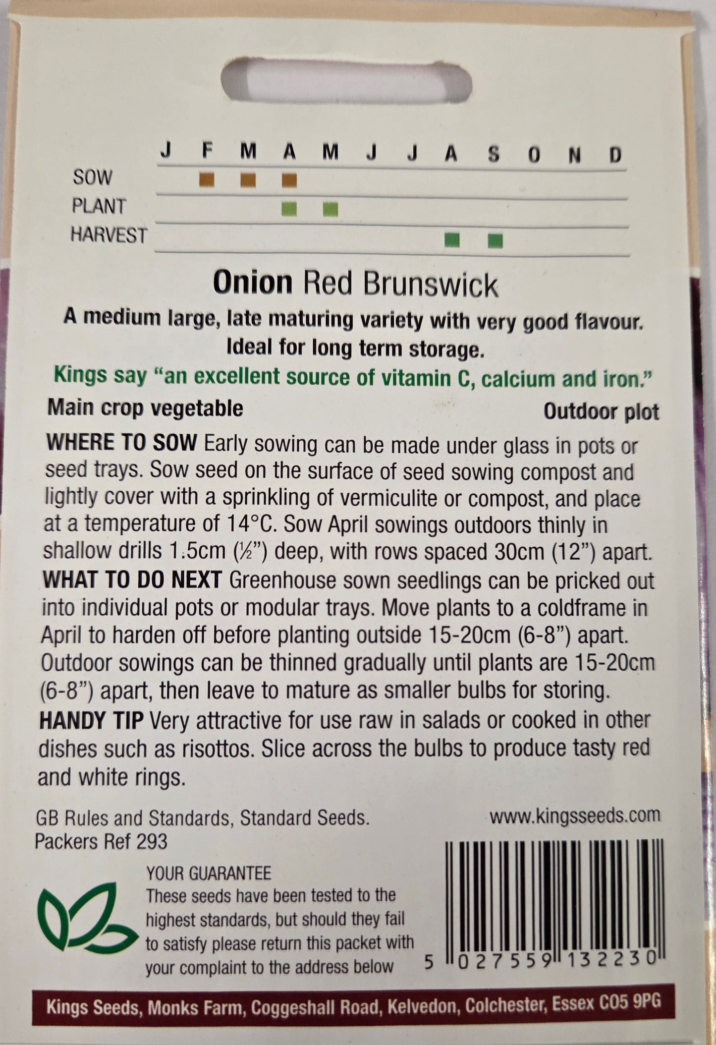 Kings Seeds Onion Red Brunswick