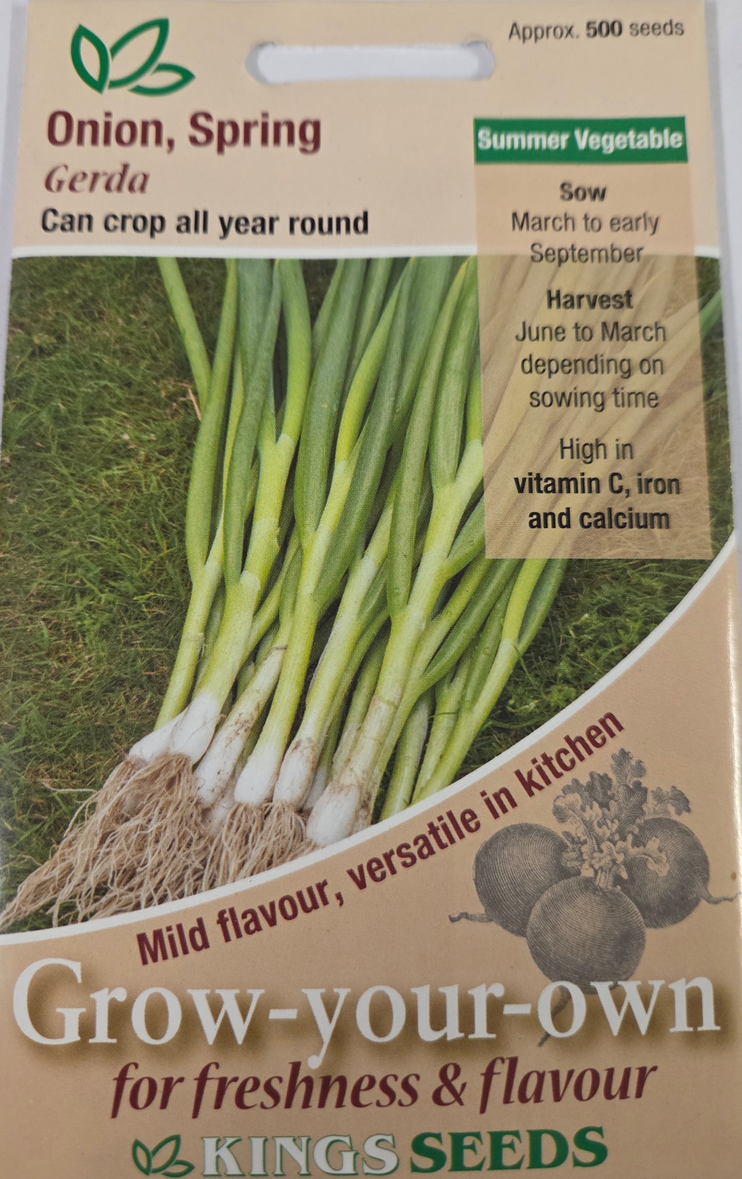 Kings Seeds Onion Spring Gerda