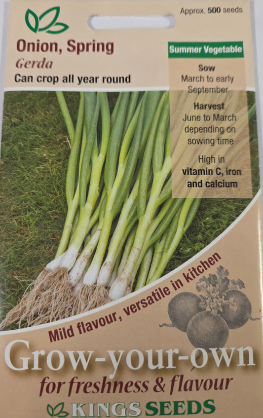 Kings Seeds Onion Spring Gerda