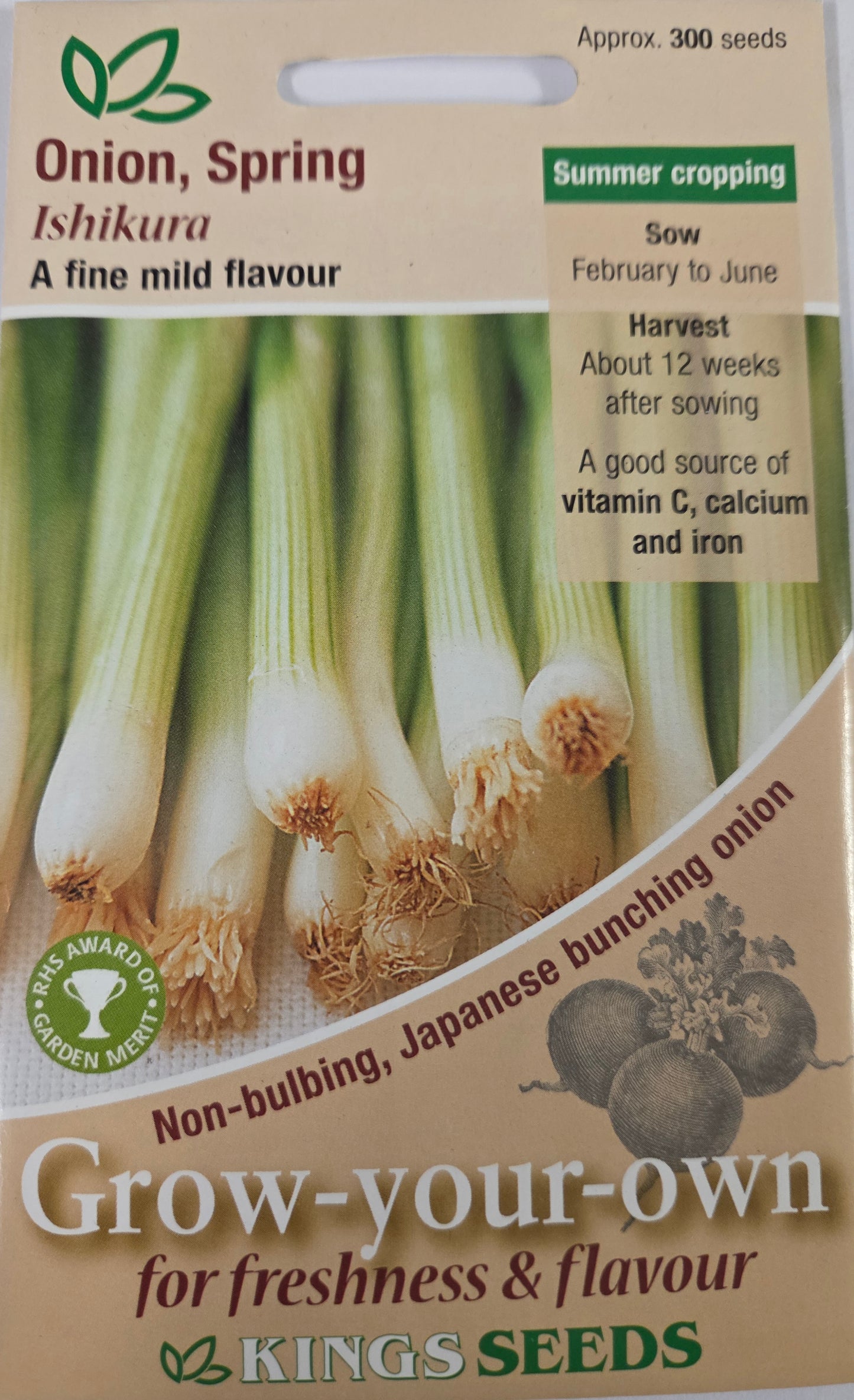 Kings Seeds Onion Spring Ishikura