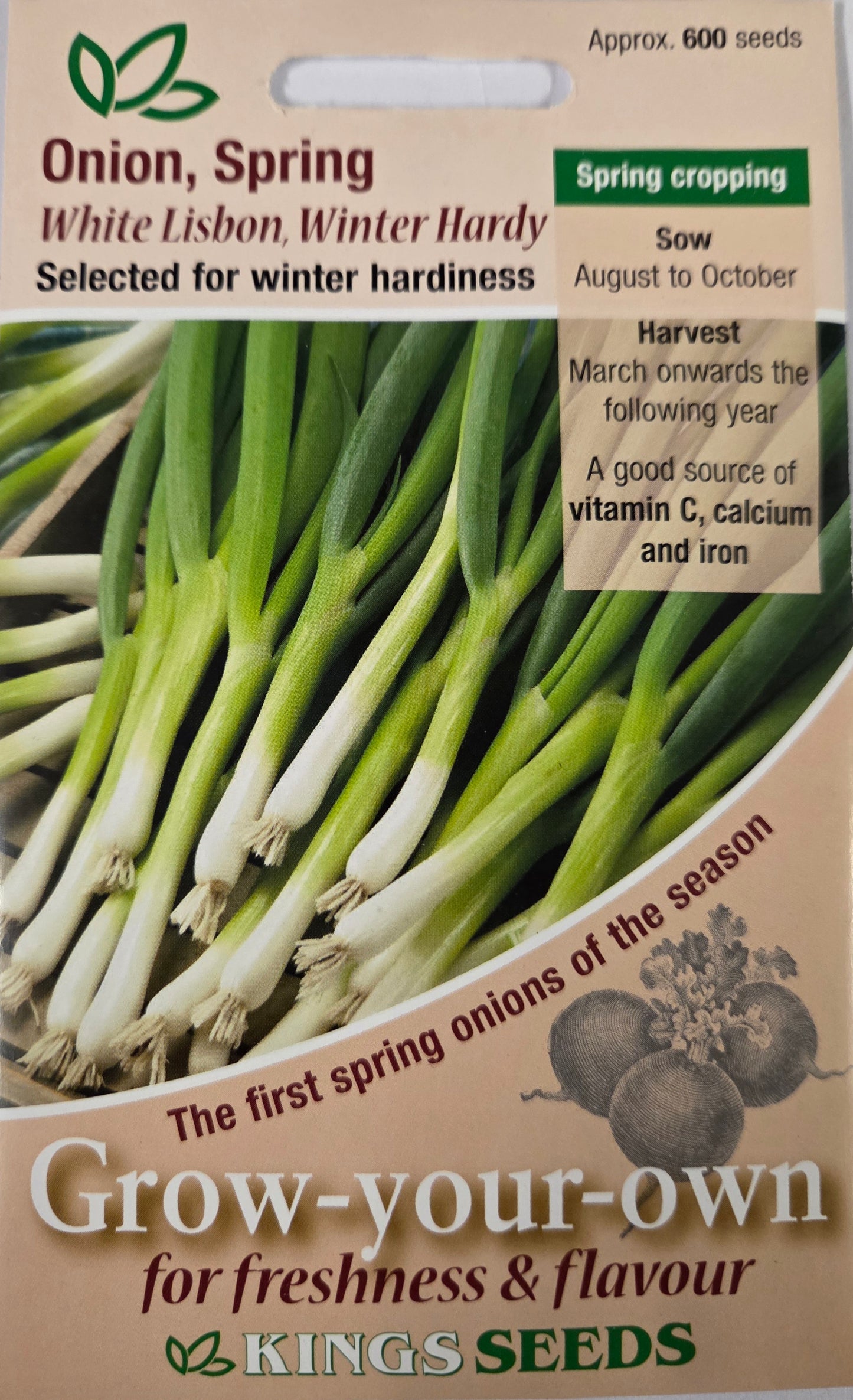 Kings Seeds Onion Spring White Lisbon Winter Hardy