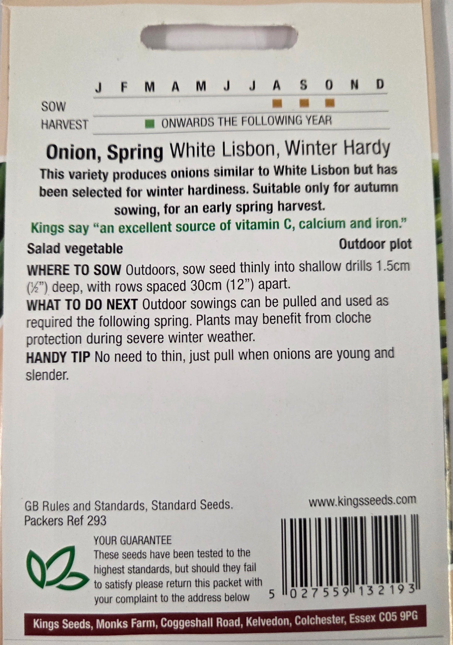 Kings Seeds Onion Spring White Lisbon Winter Hardy