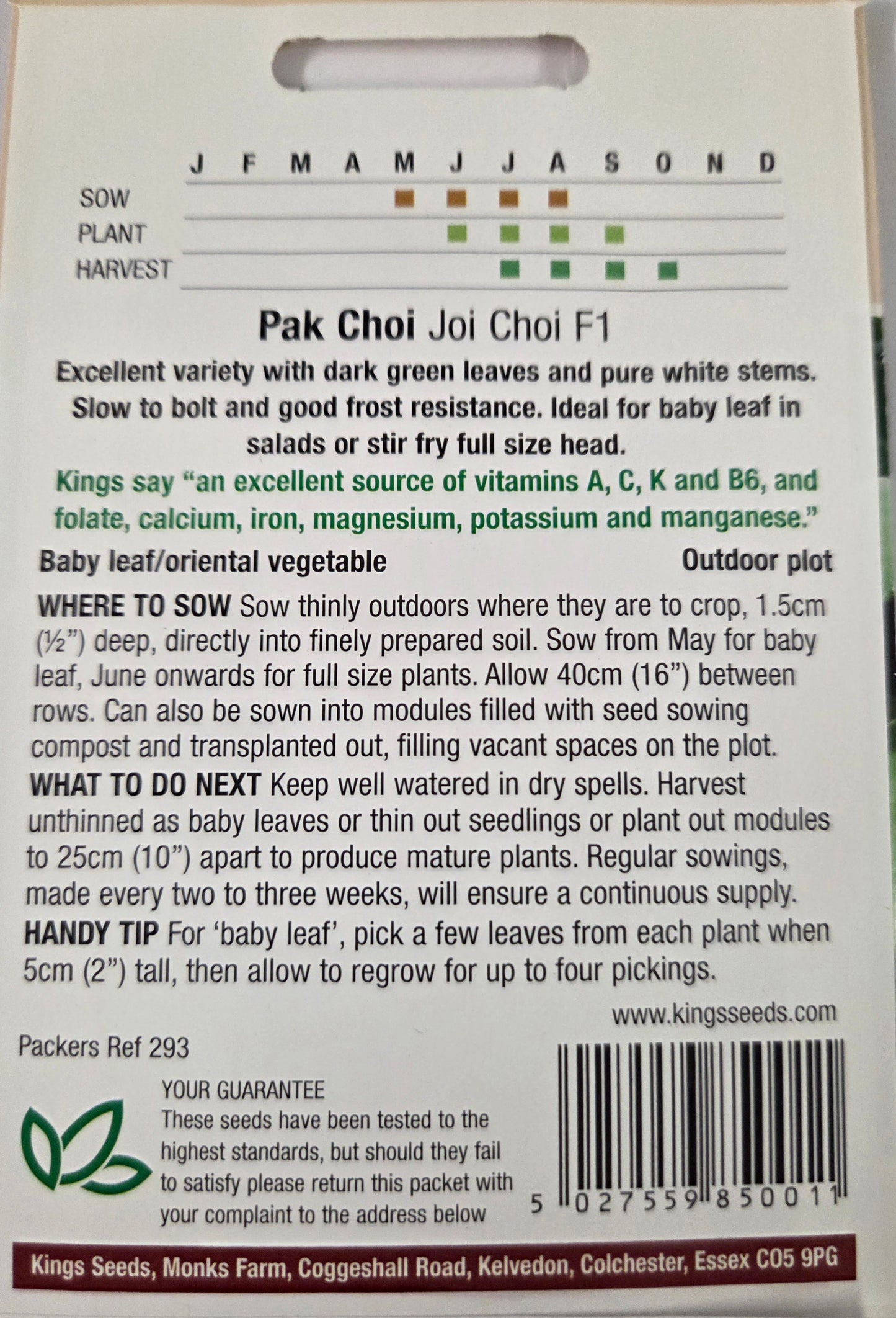 Kings Seeds Pak Choi Joi Choi F1