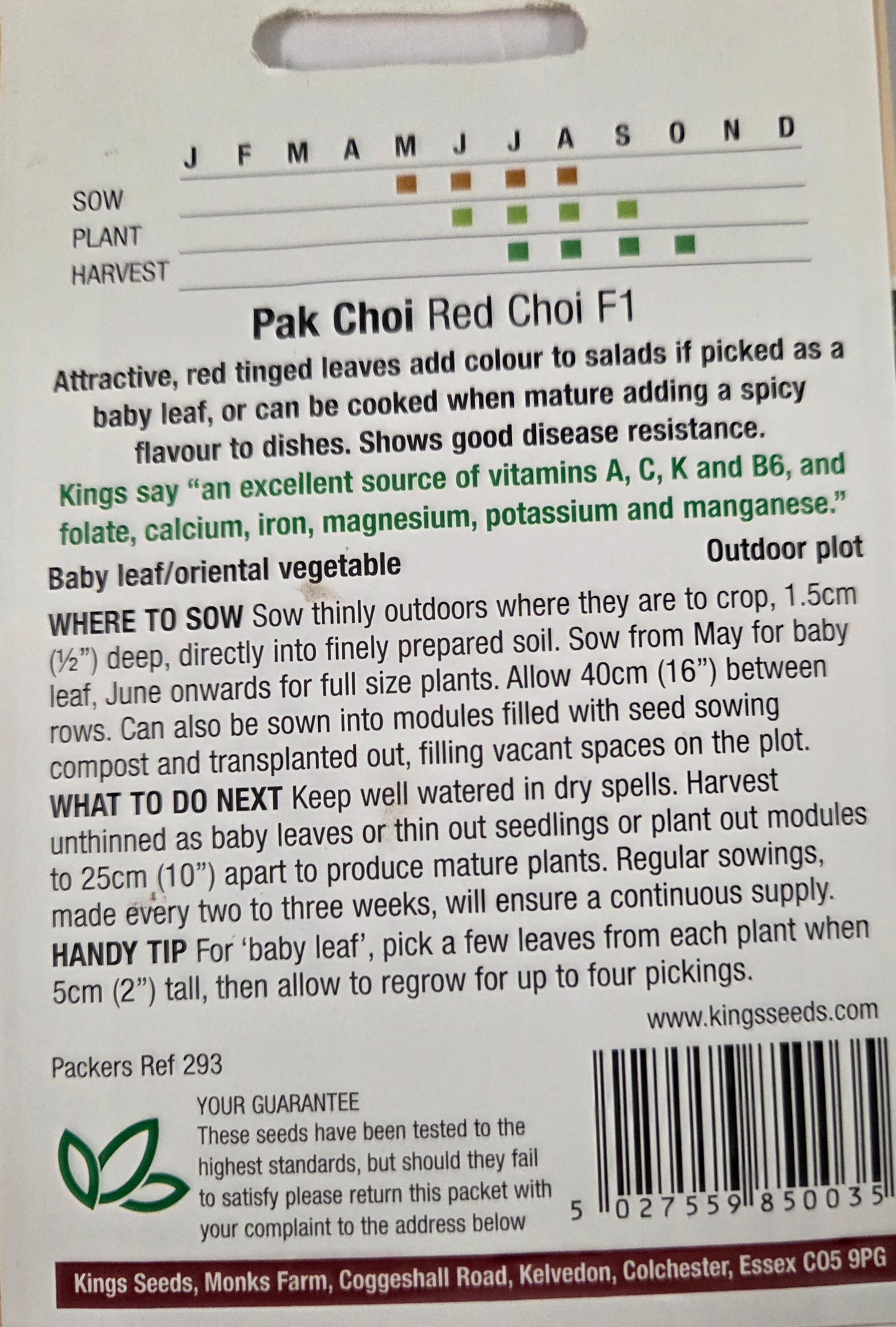 Kings Seeds Pak Choi Red Choi F1