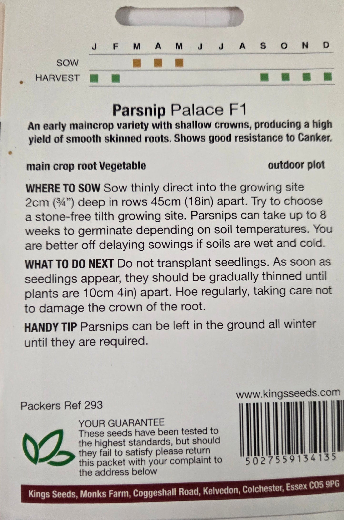 Kings Seeds Parsnip Palace F1