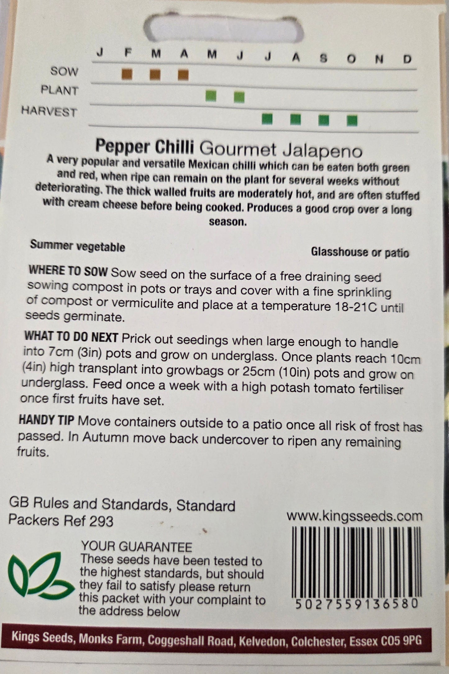 Kings Seeds Pepper Chilli Gourmet Jalapeno