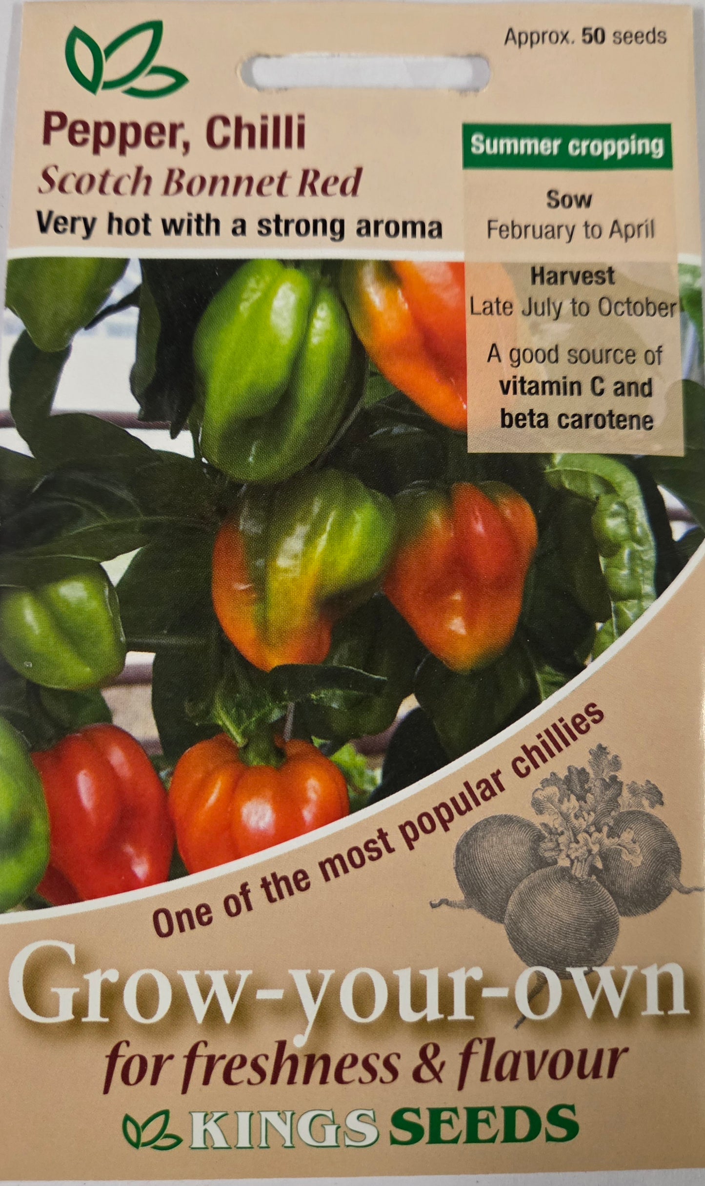 Kings Seeds Pepper Chilli Scotch Bonnet Red