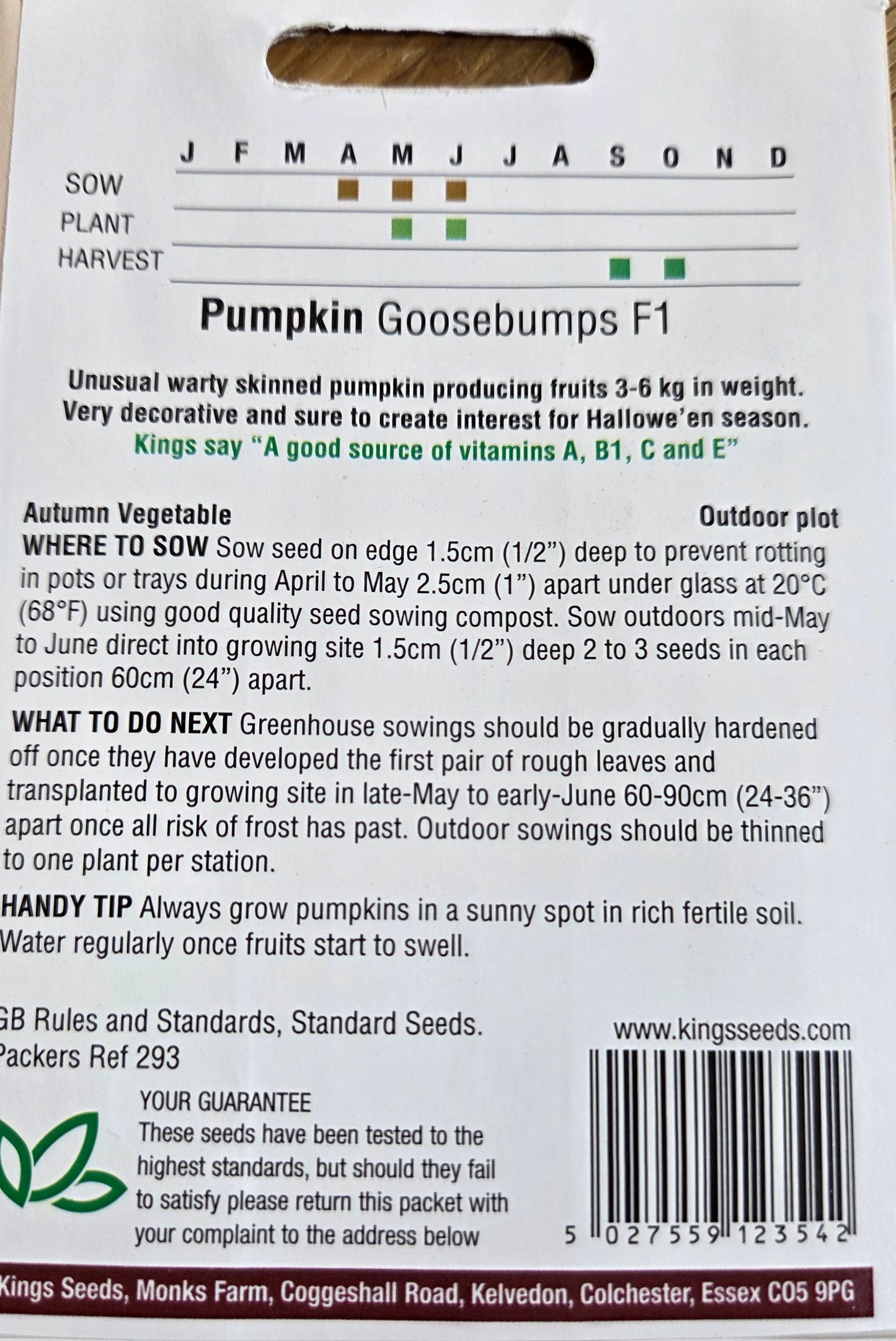 Kings Seeds Pumpkin Goosebumps F1