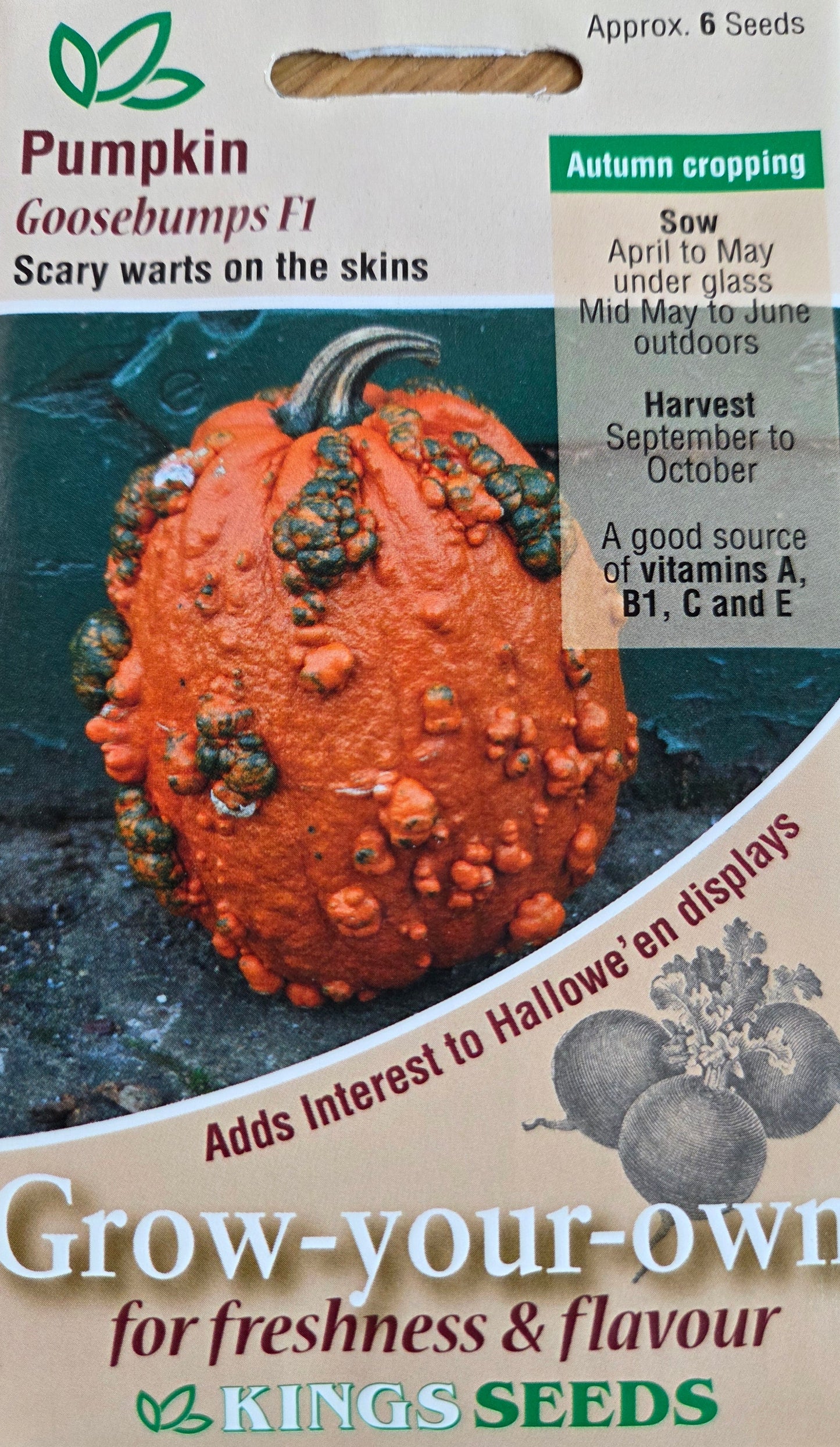 Kings Seeds Pumpkin Goosebumps F1