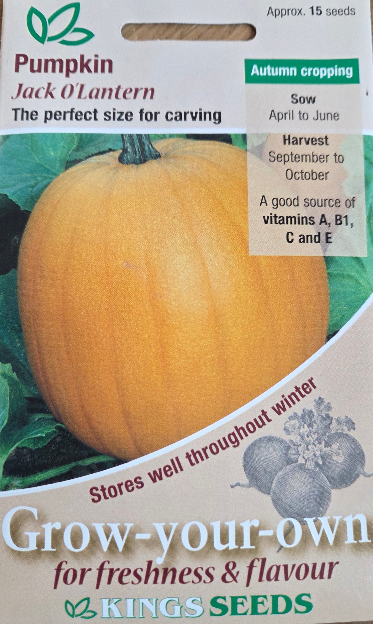 Kings Seeds Pumpkin Jack 0' Lantern