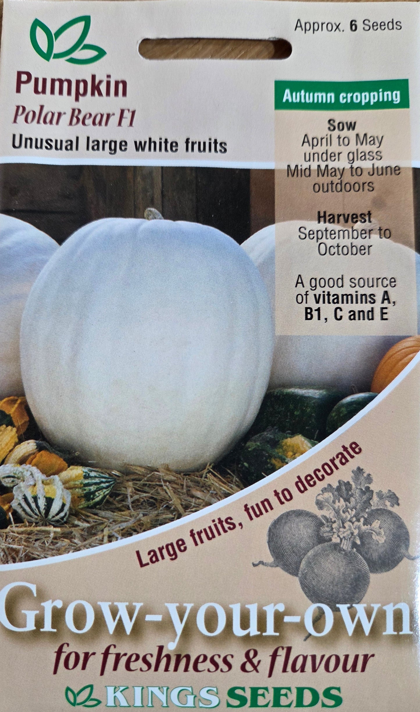 Kings Seeds Pumpkin Polar Bear F1