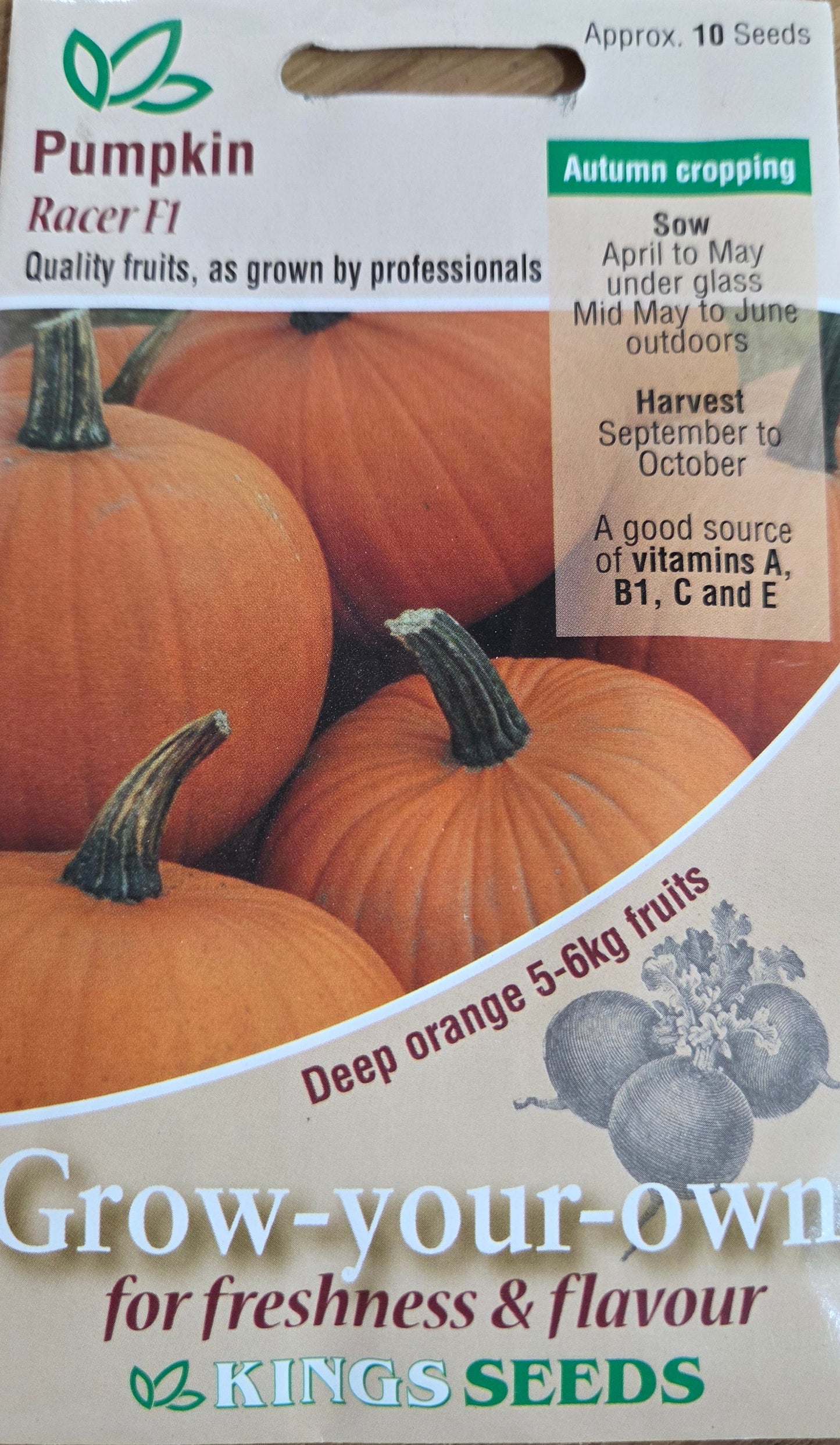 Kings Seeds Pumpkin Racer F1