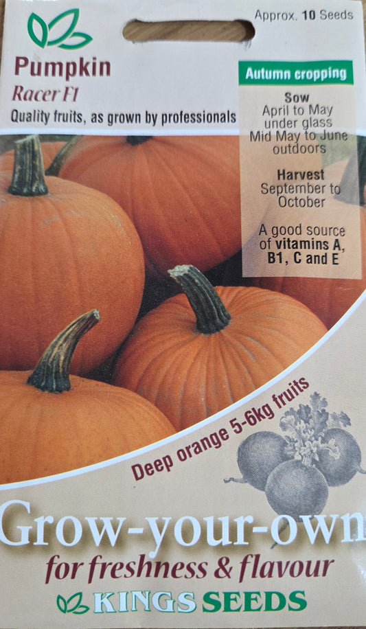 Kings Seeds Pumpkin Racer F1