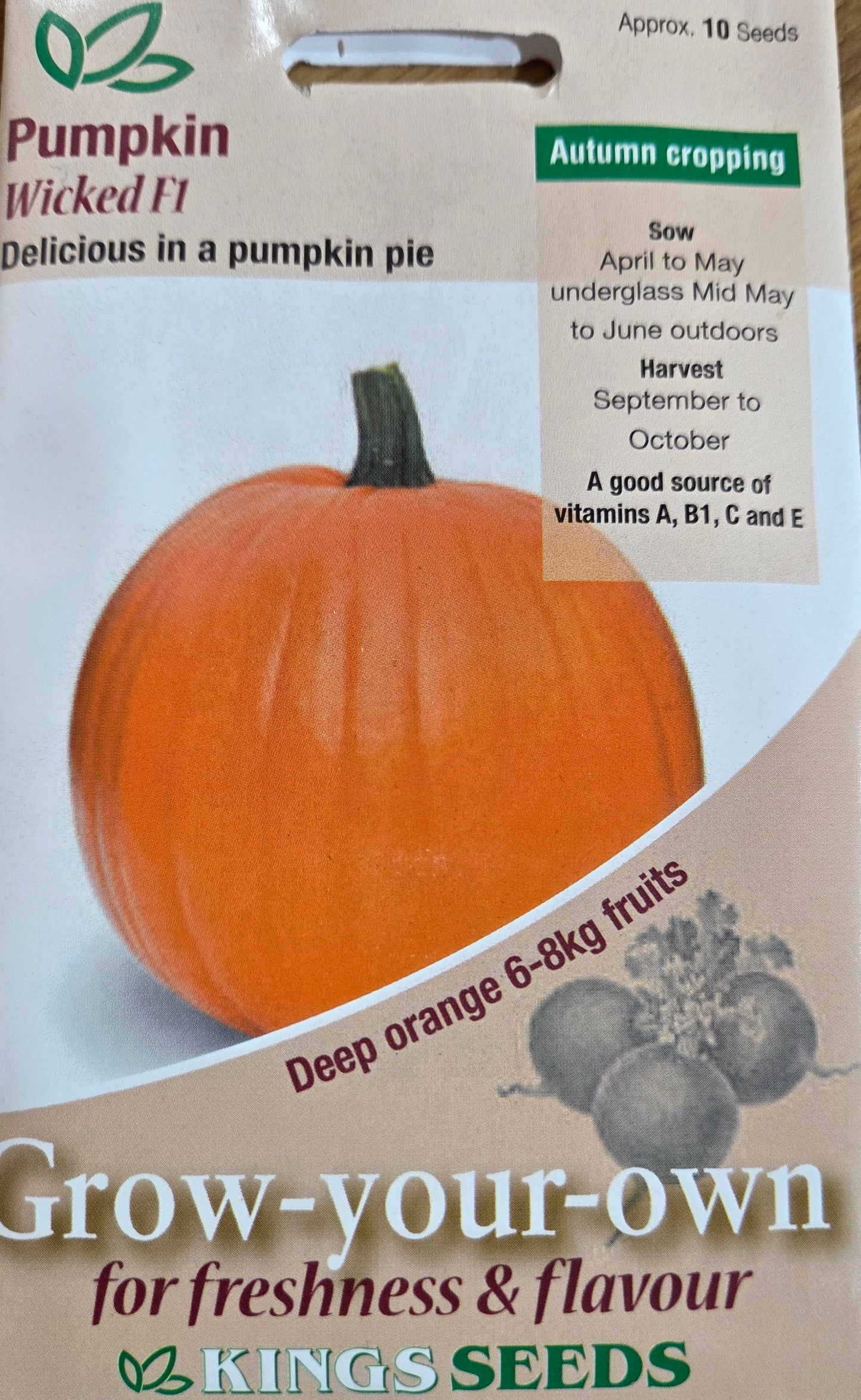 Kings Seeds Pumpkin Wicked F1