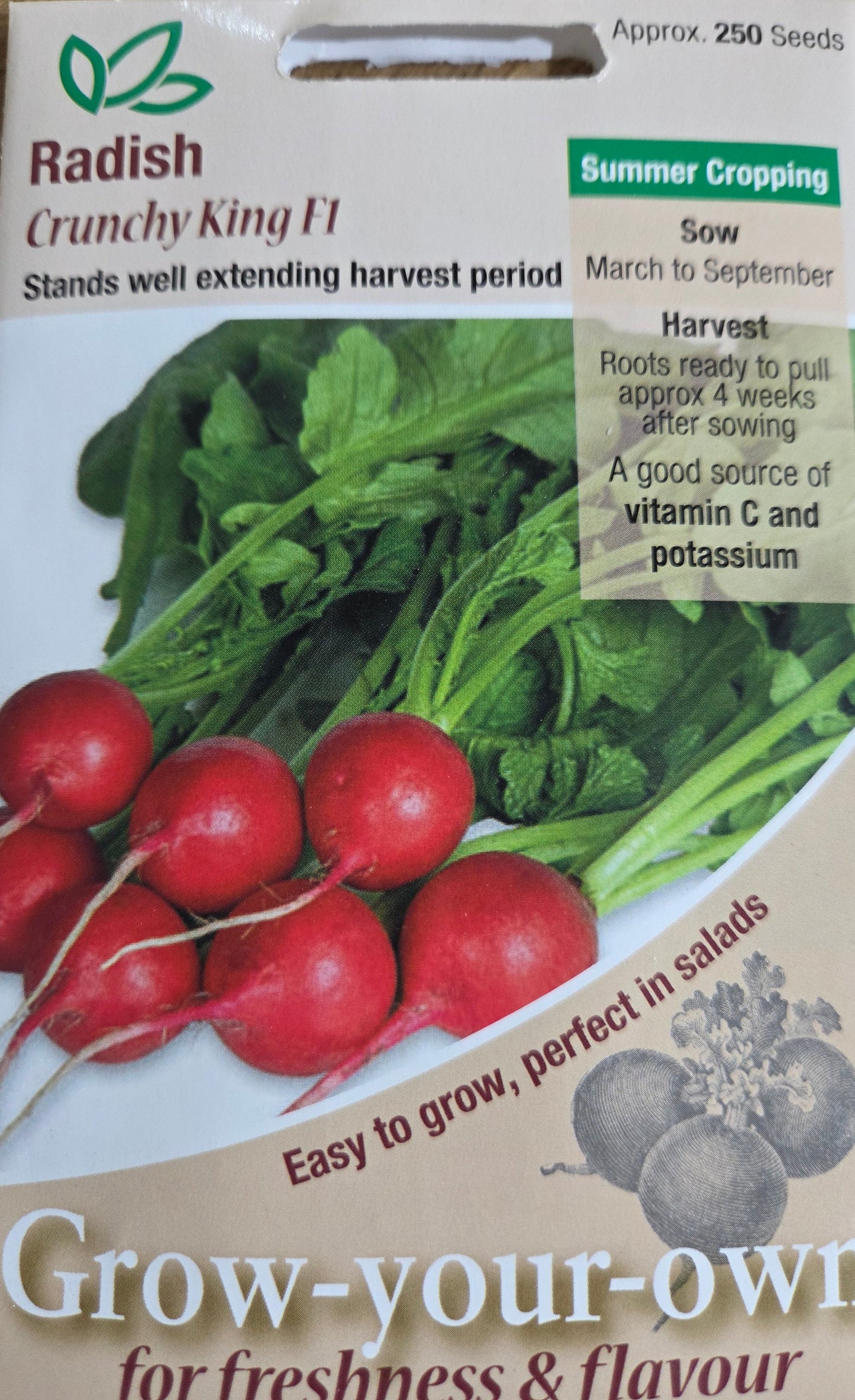 Kings Seeds Radish Crunchy King F1