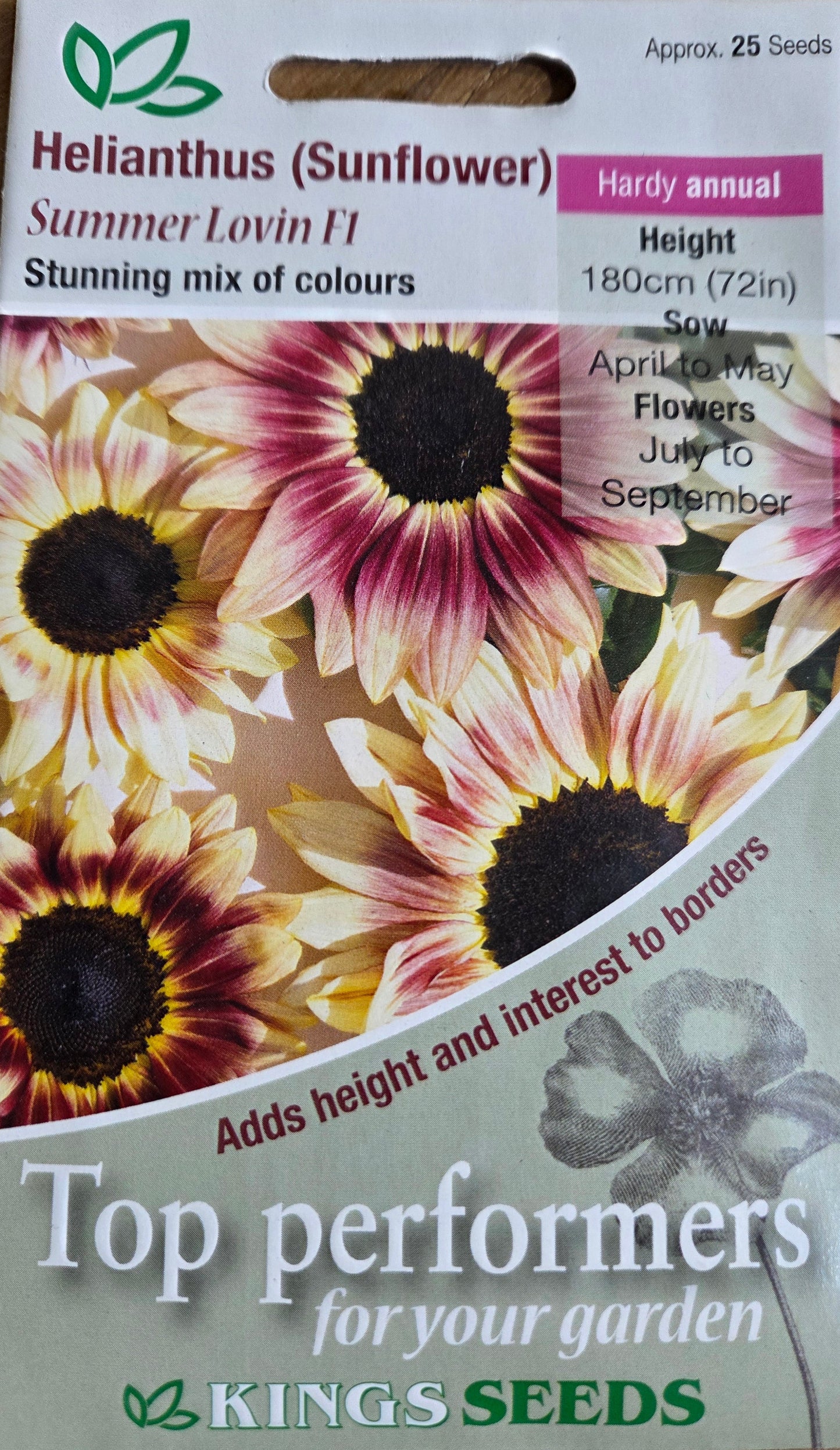 Kings Seeds Sunflower Helianthus Summer Lovin F1