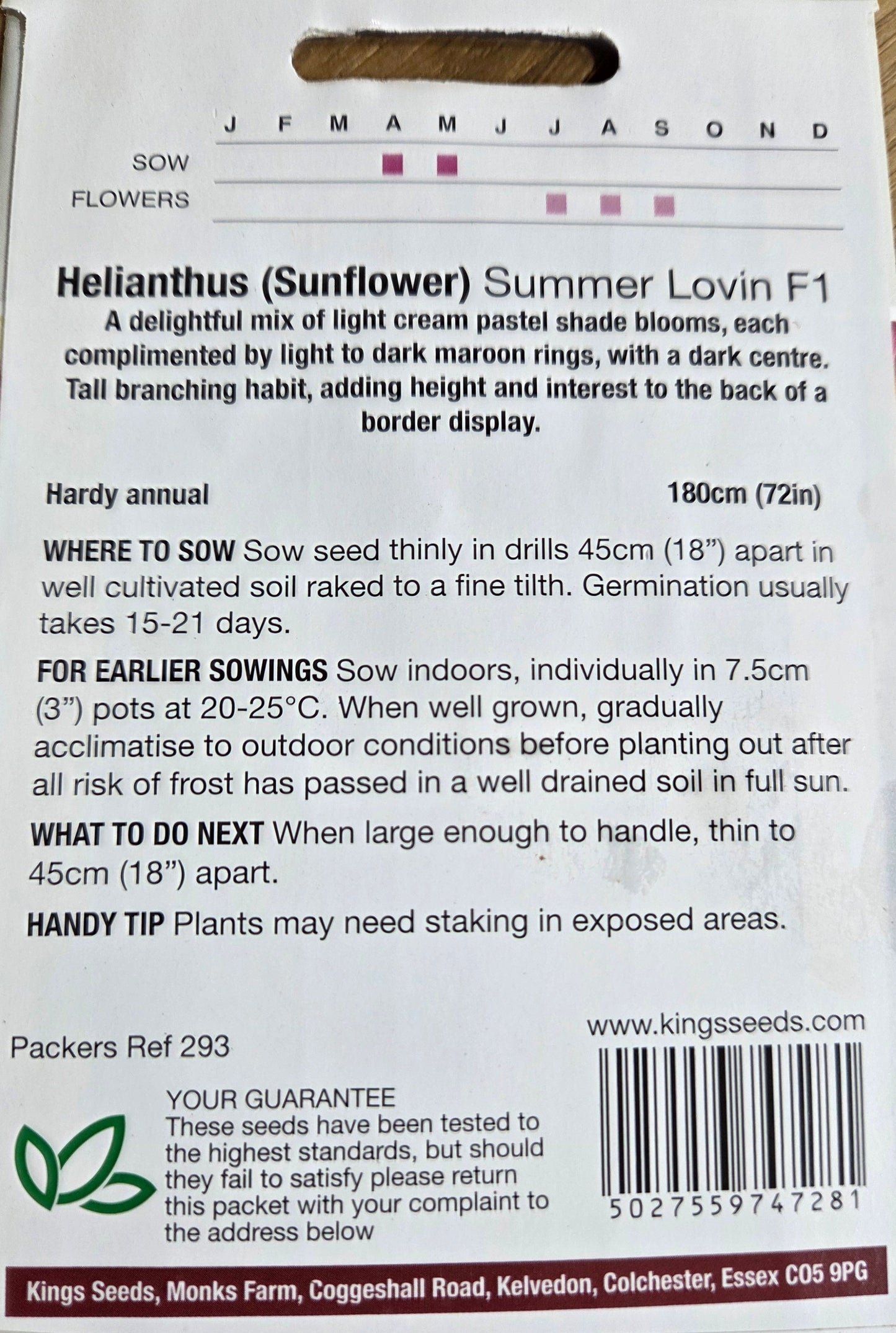 Kings Seeds Sunflower Helianthus Summer Lovin F1