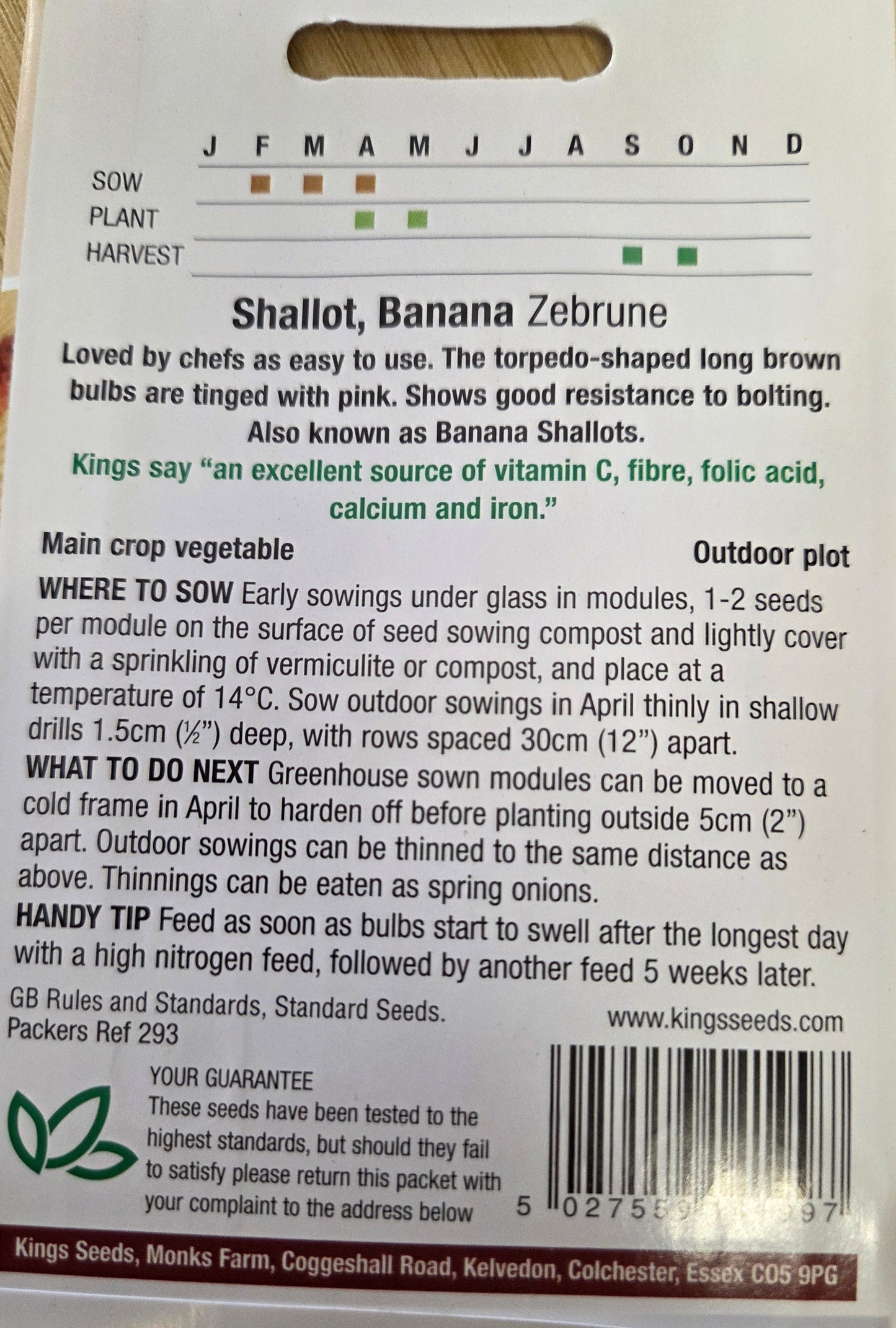Kings Seeds Shallot Banana Zebrune
