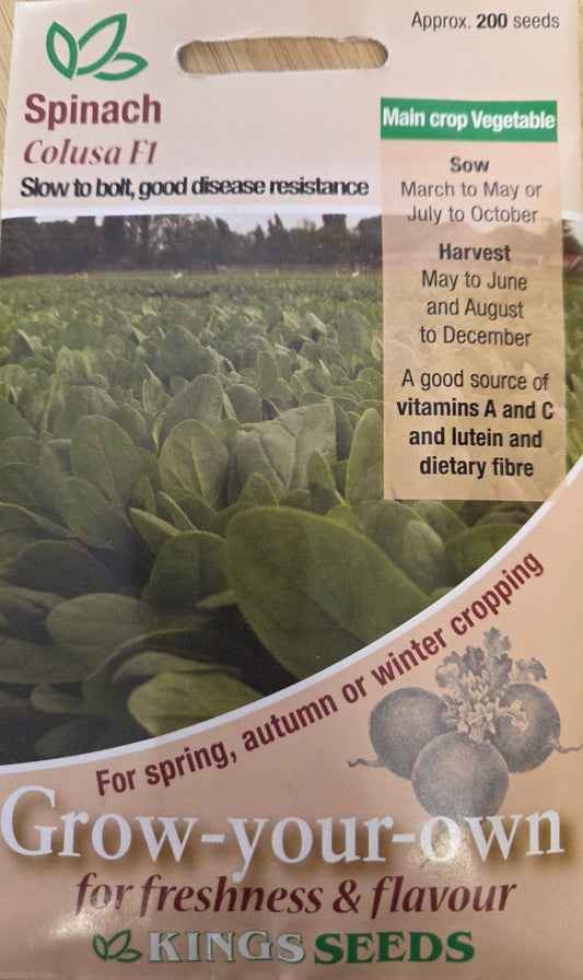 Kings Seeds Spinach Colusa F1
