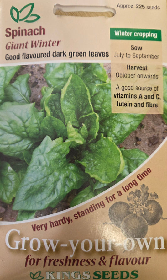 Kings Seeds Spinach Giant Winter