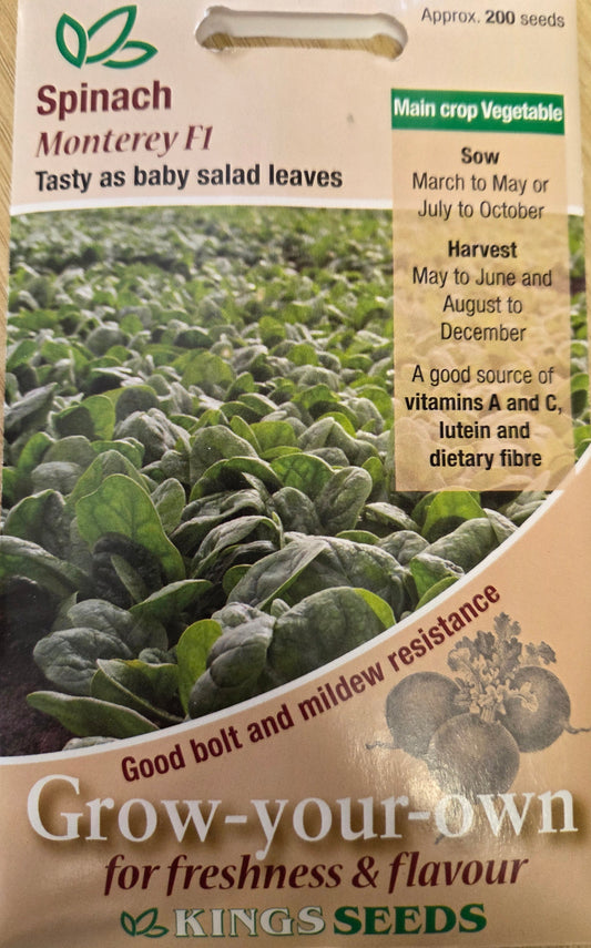 Kings Seeds Spinach Monterey F1