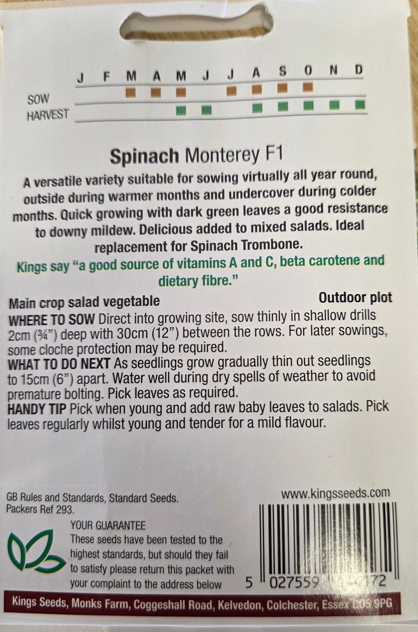 Kings Seeds Spinach Monterey F1