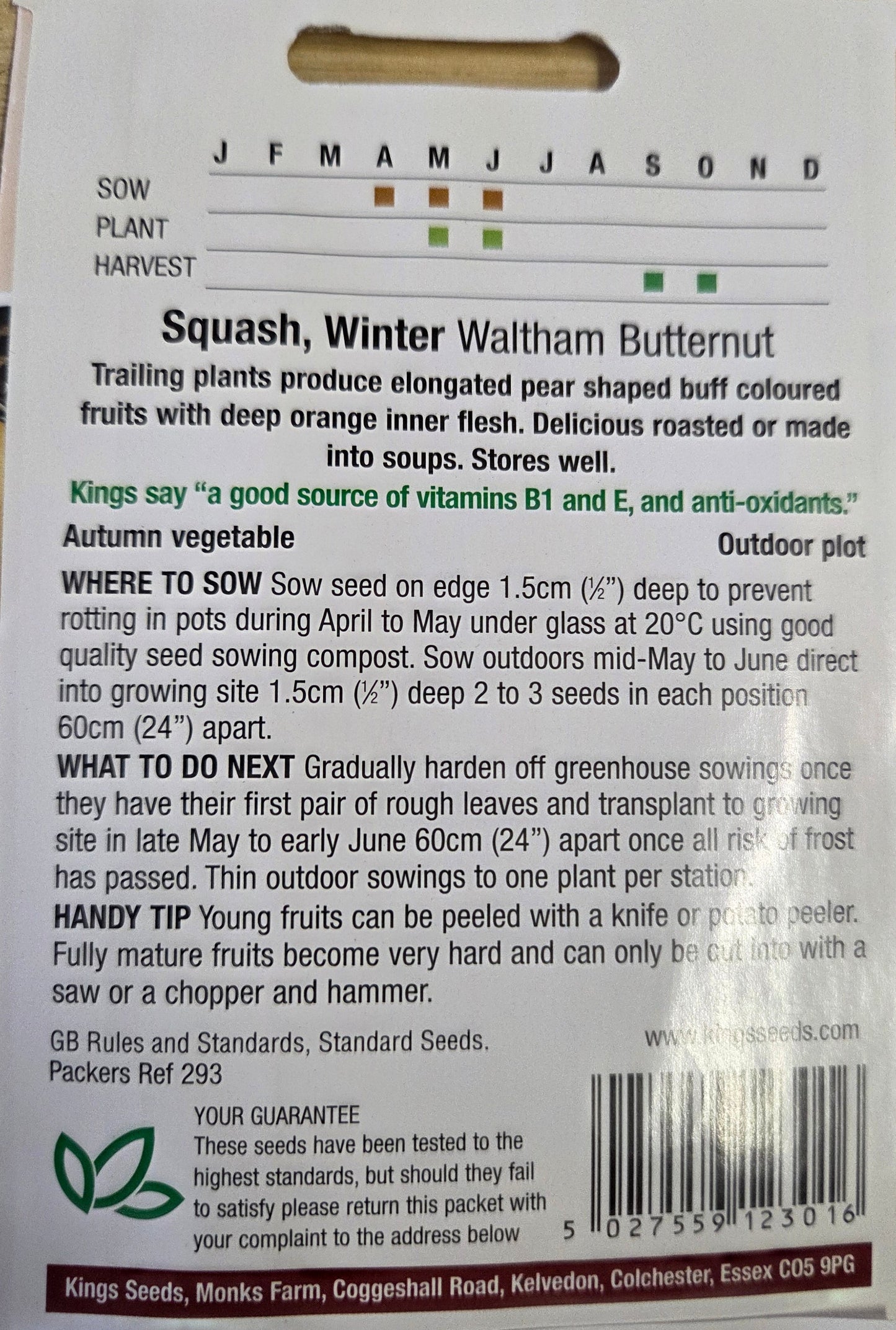 Kings Seeds Squash Winter Waltham Butternut