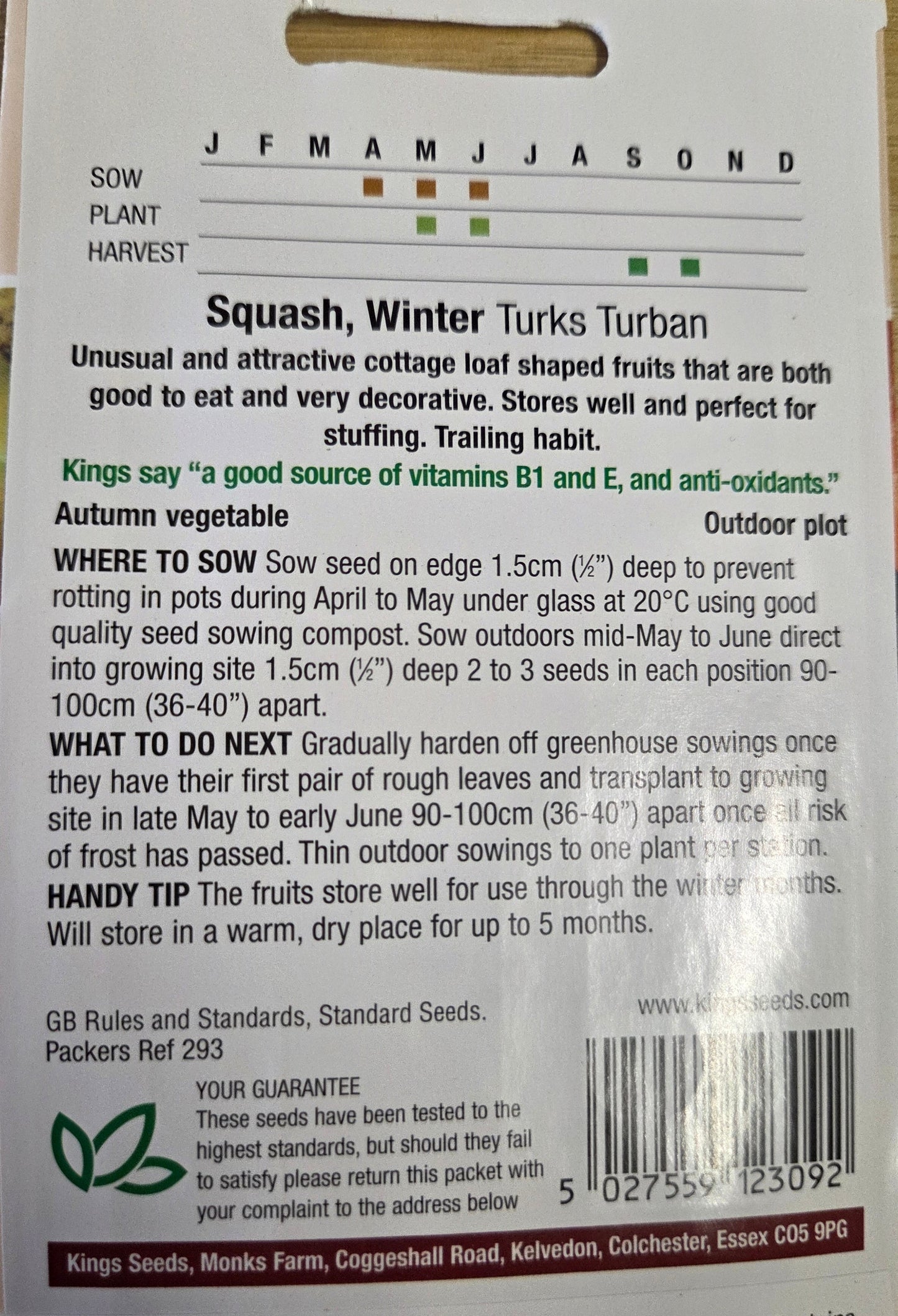 Kings Seeds Squash Winter Turks Turban