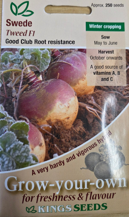 Kings Seeds Swede Tweed F1