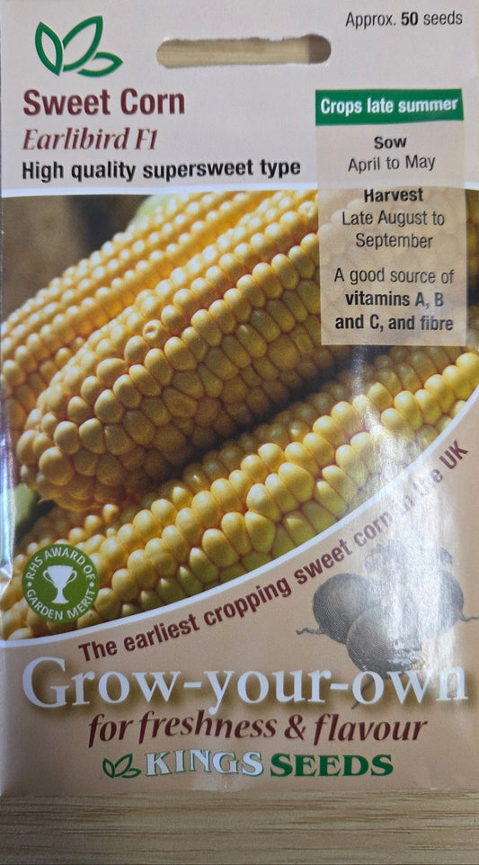 Kings Seeds Sweet Corn Earibird F1