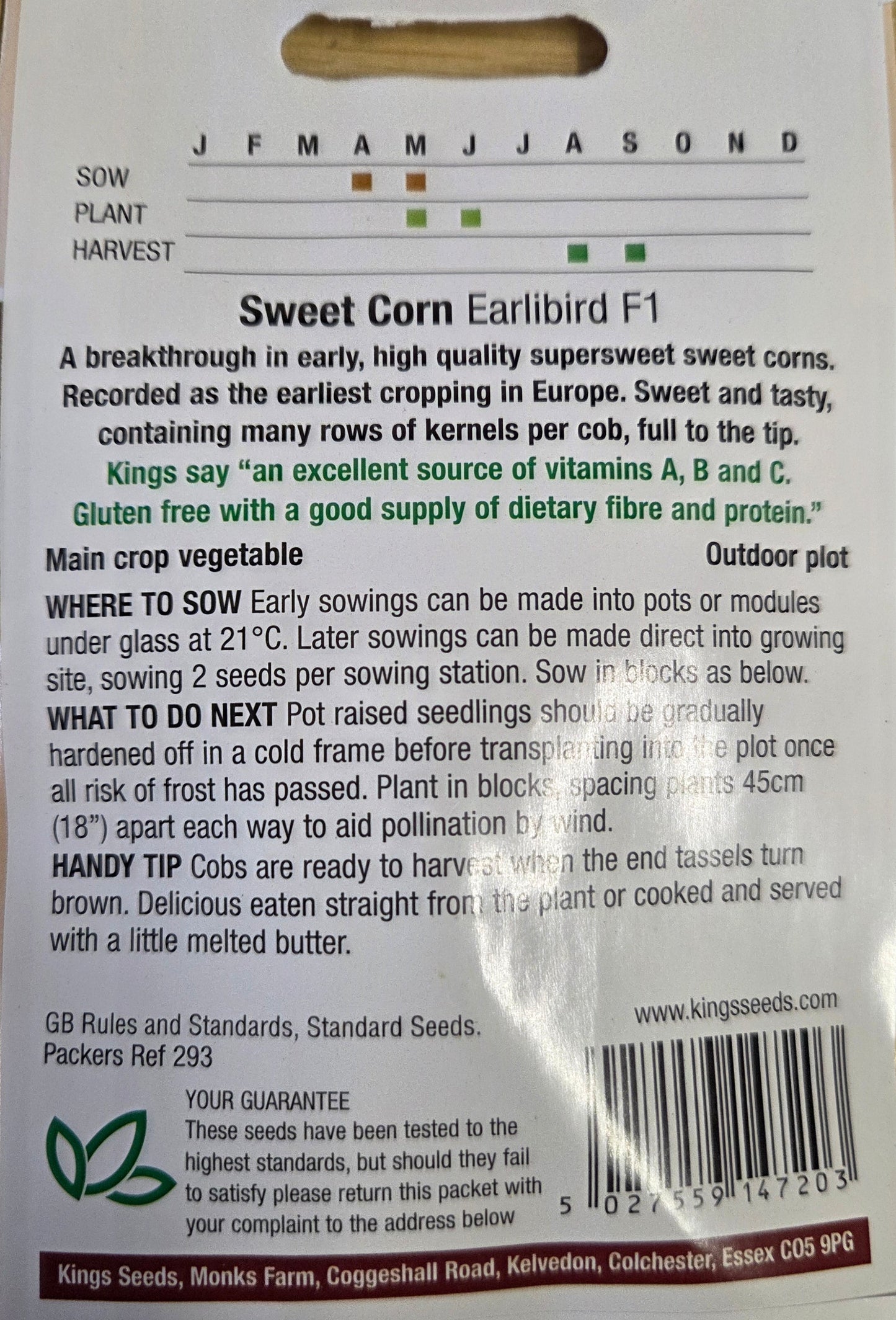 Kings Seeds Sweet Corn Earibird F1