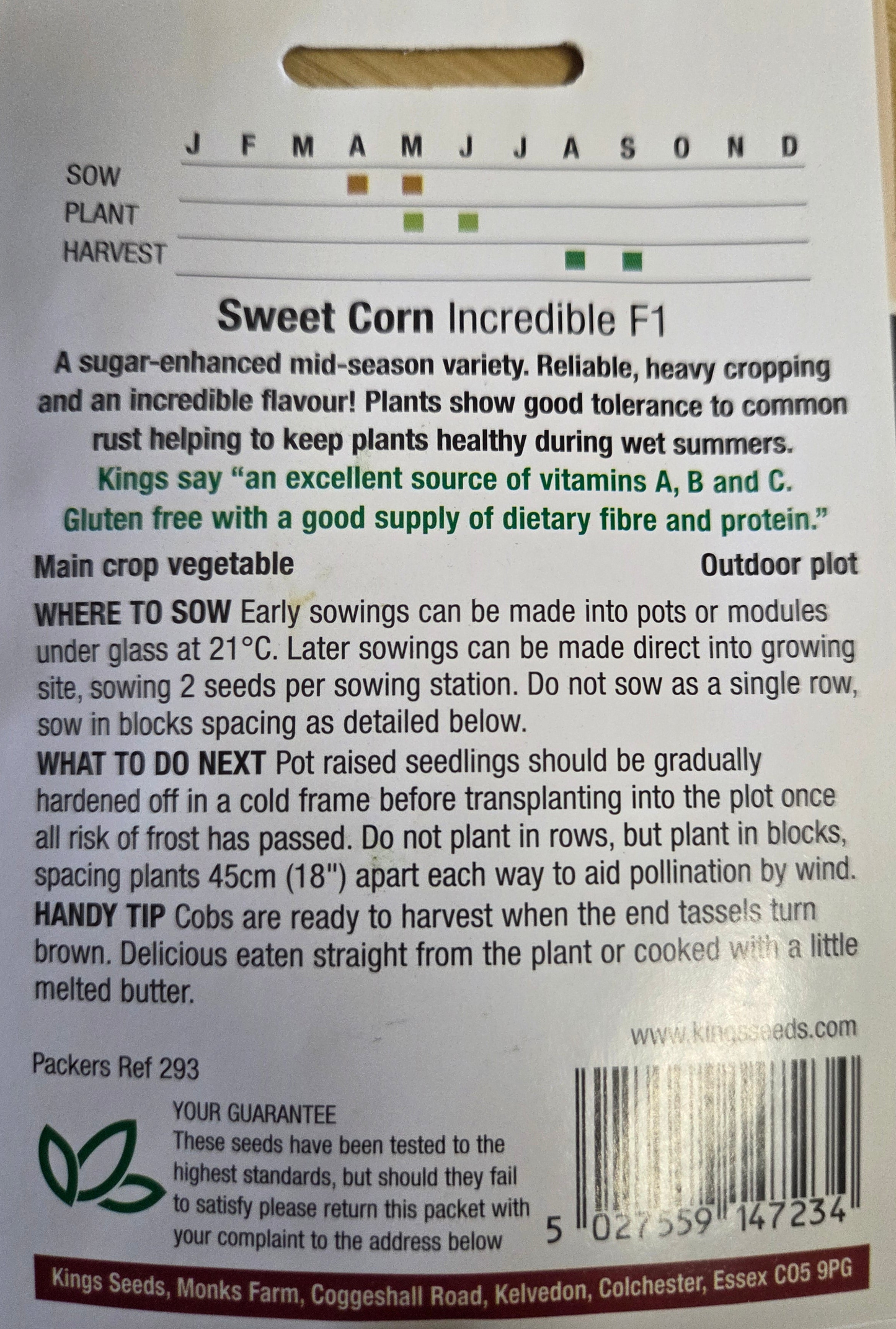 Kings Seeds Sweet Corn Incredible F1