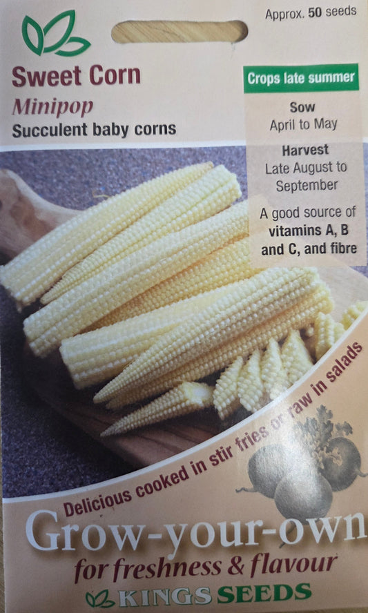 Kings Seeds Sweet Corn Minipop