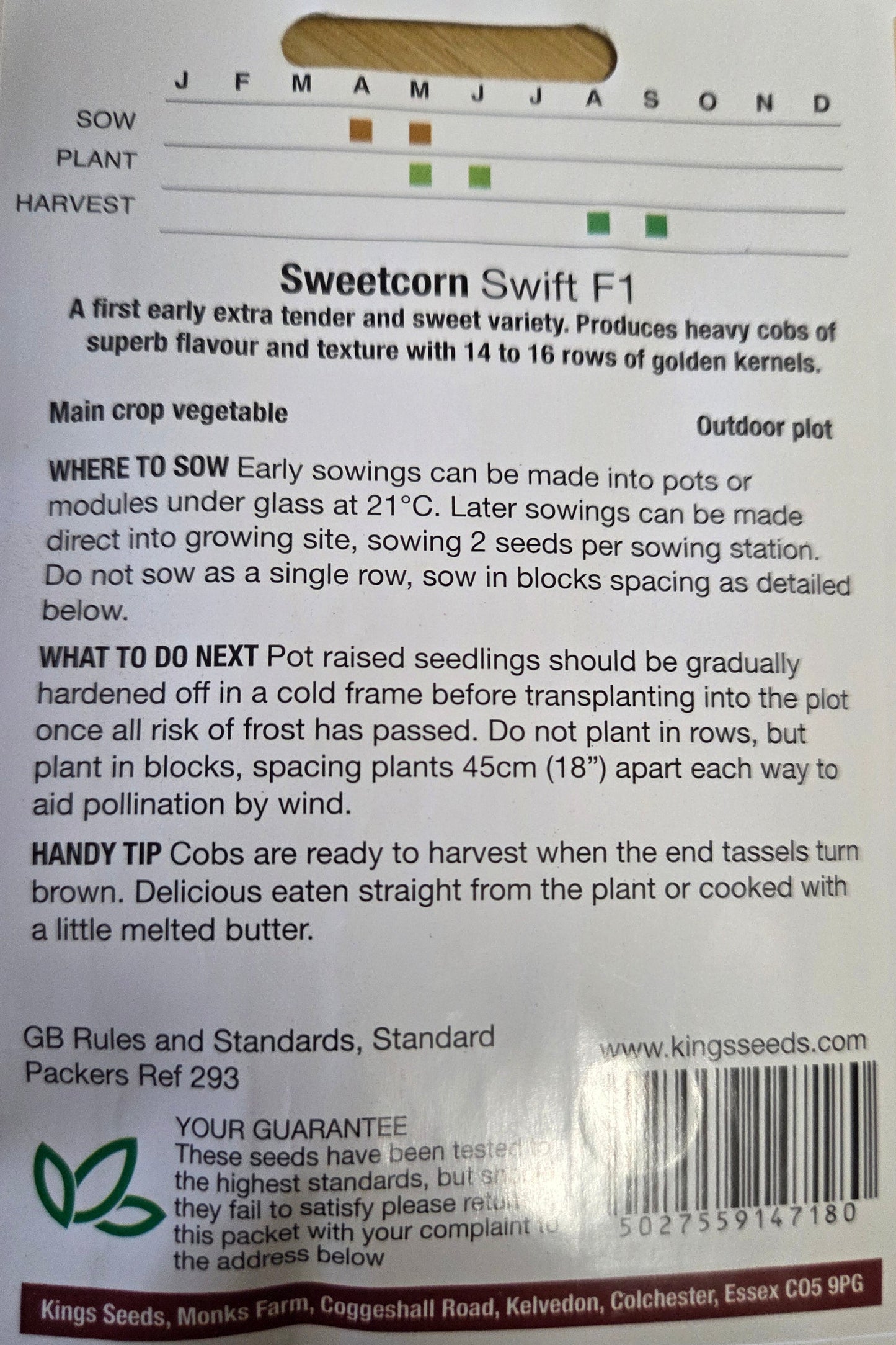 Kings Seeds Sweet Corn Swift F1