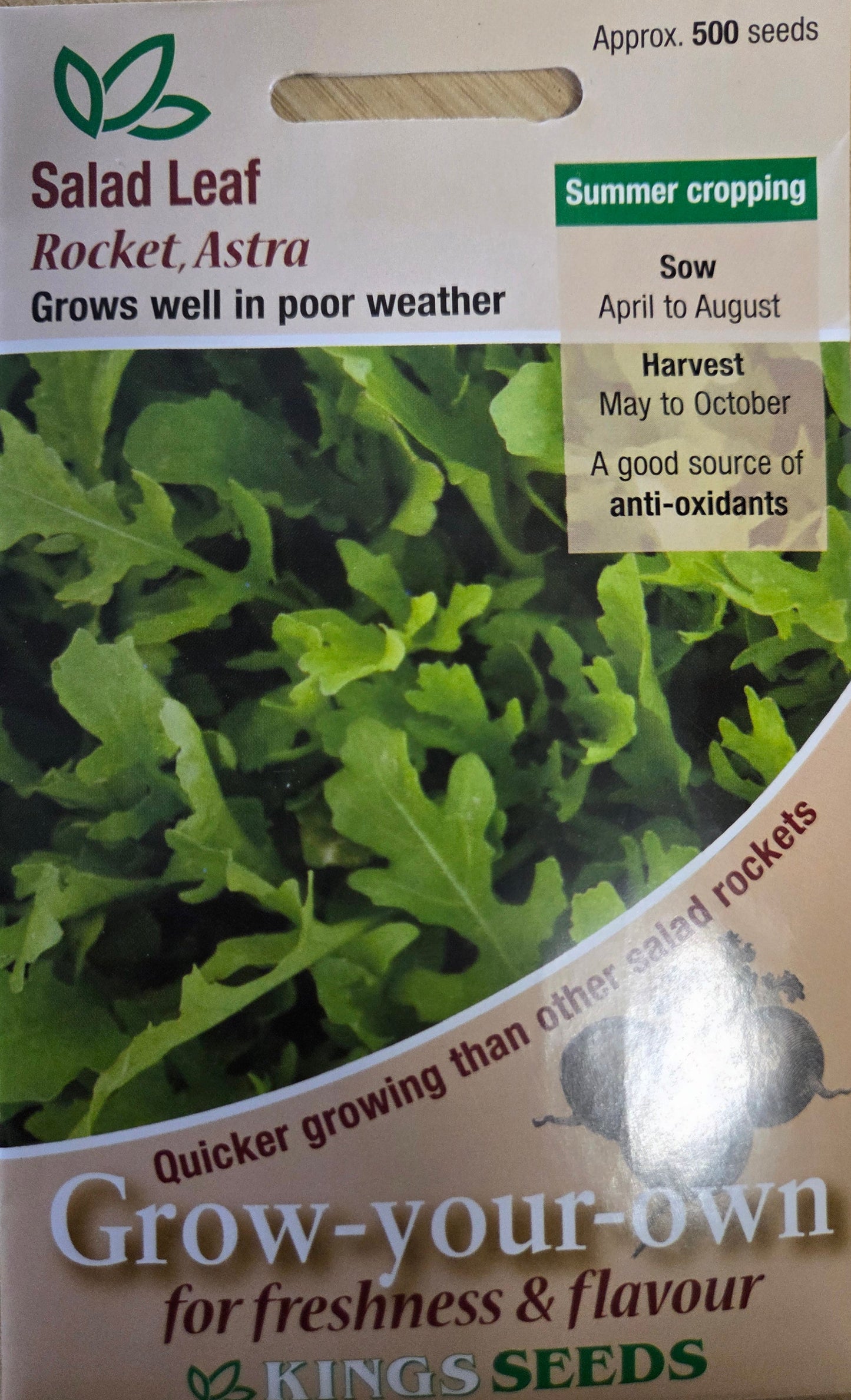 Kings Seeds Salad Leaf Rocket Astra