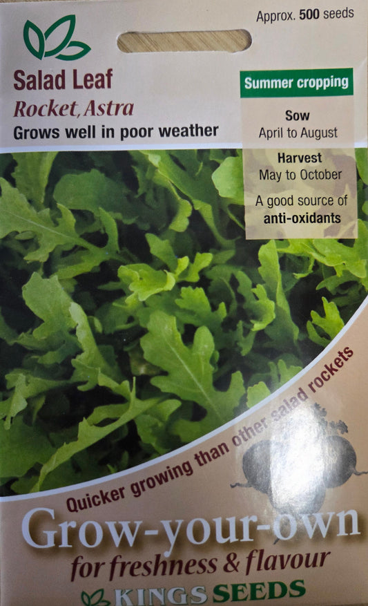 Kings Seeds Salad Leaf Rocket Astra