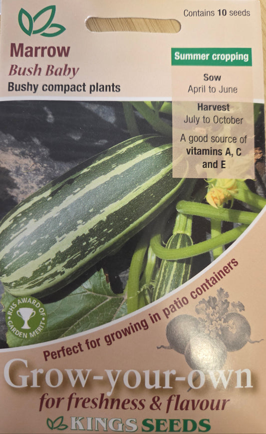 Kings Seeds Marrow Bush Baby