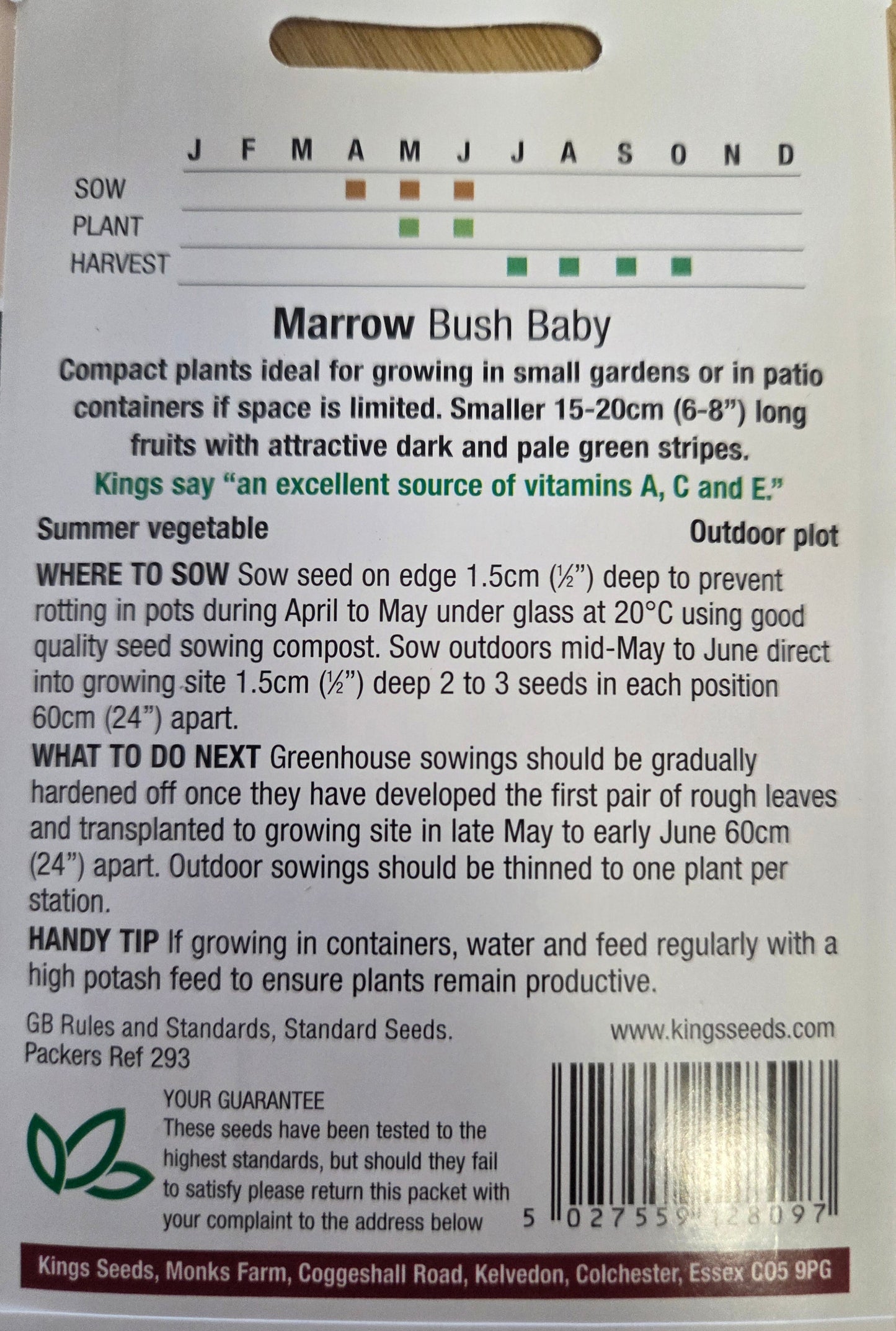 Kings Seeds Marrow Bush Baby